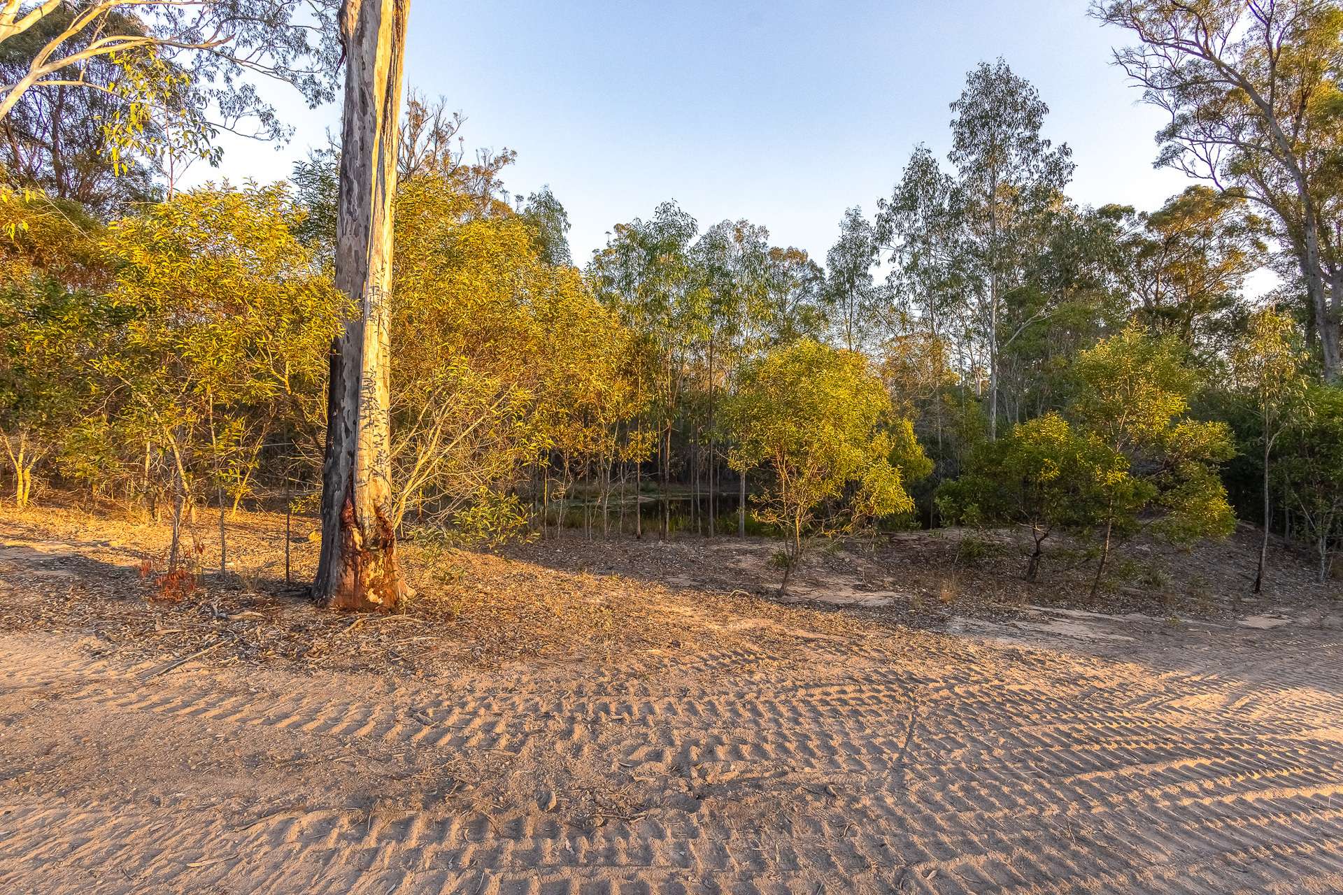46 Severn Chase, Curra For Sale by Farmbuy.com - image 3