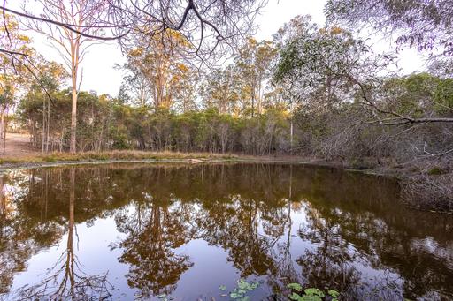 Farm For Sale - QLD - Curra - 4570 - Stunning 4.4ha Rural Residential Acreage – Your Dream Home Awaits 
