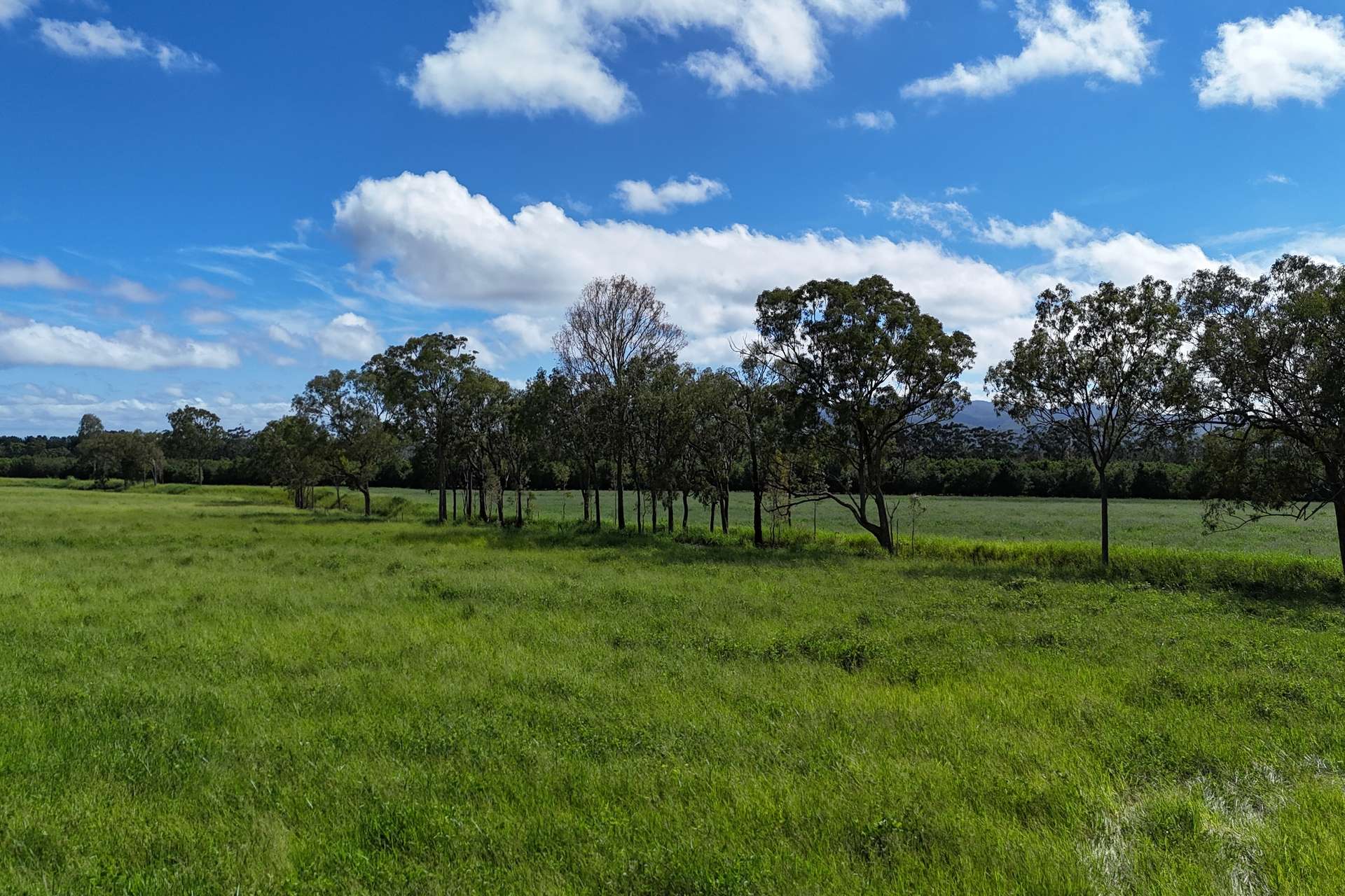 30 Banchio Road, Tolga For Sale by Farmbuy.com - image 1