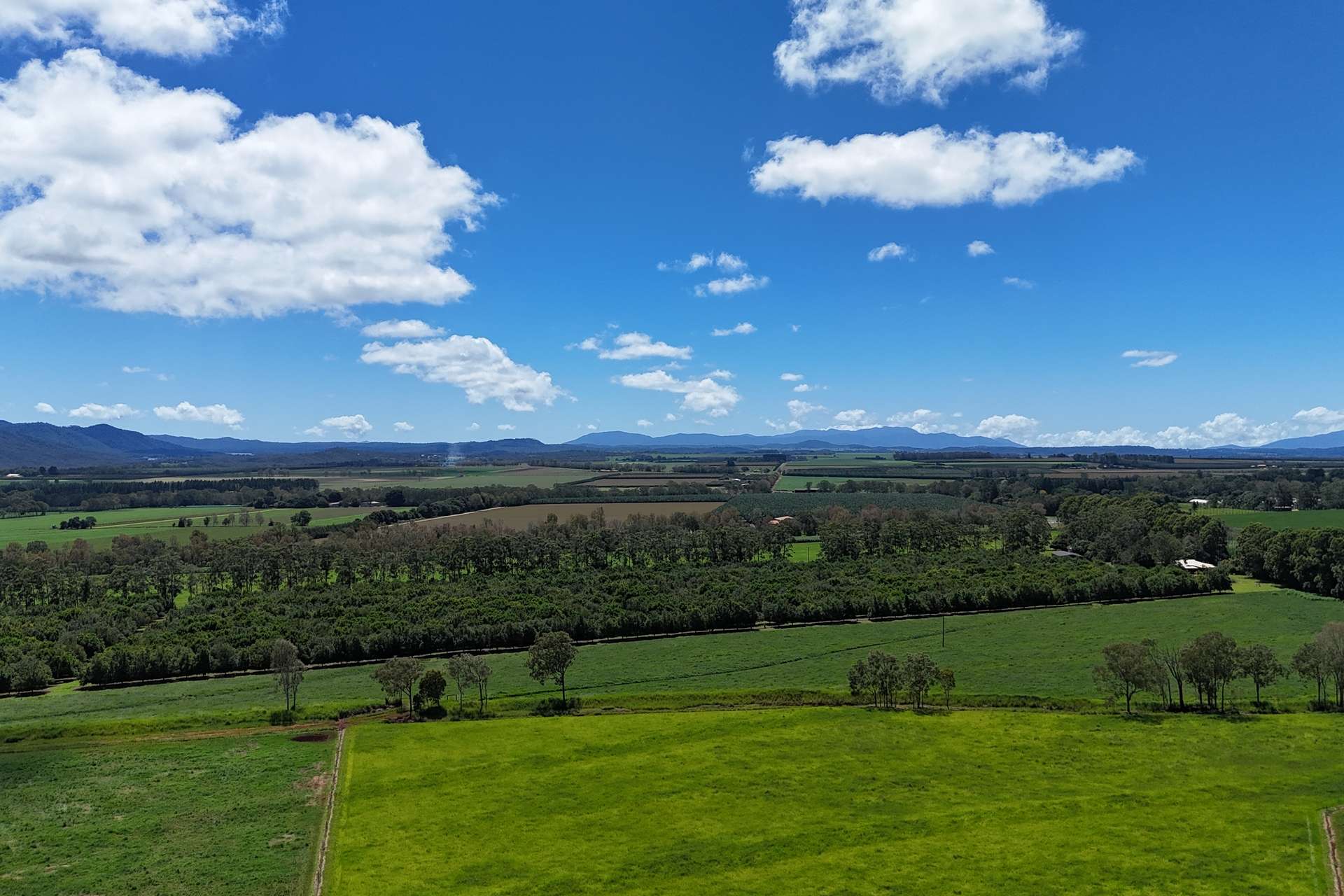 30 Banchio Road, Tolga For Sale by Farmbuy.com - image 7