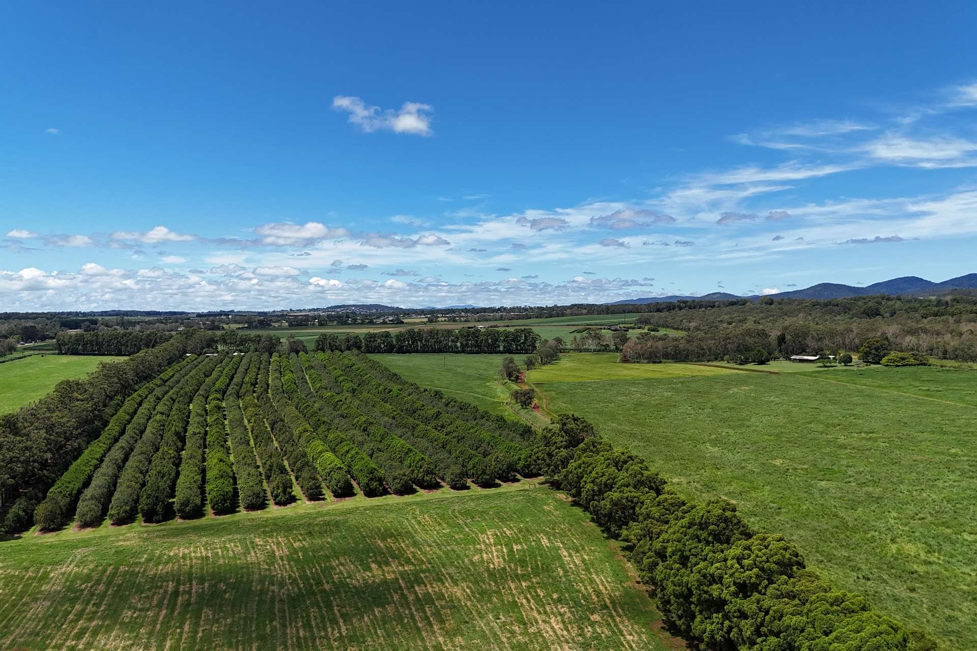 30 Banchio Road, Tolga For Sale by Farmbuy.com - image 11