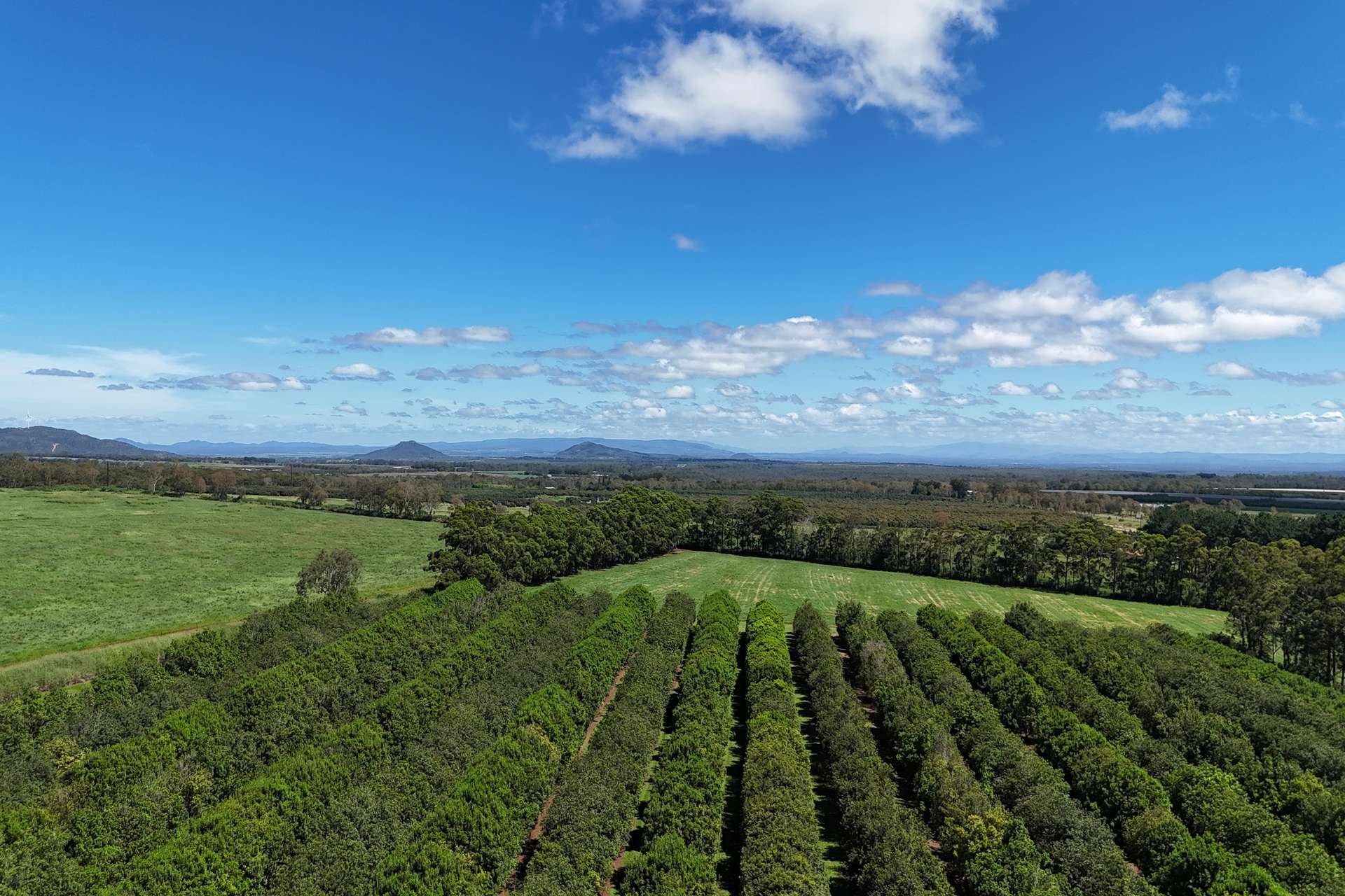 30 Banchio Road, Tolga For Sale by Farmbuy.com - image 2