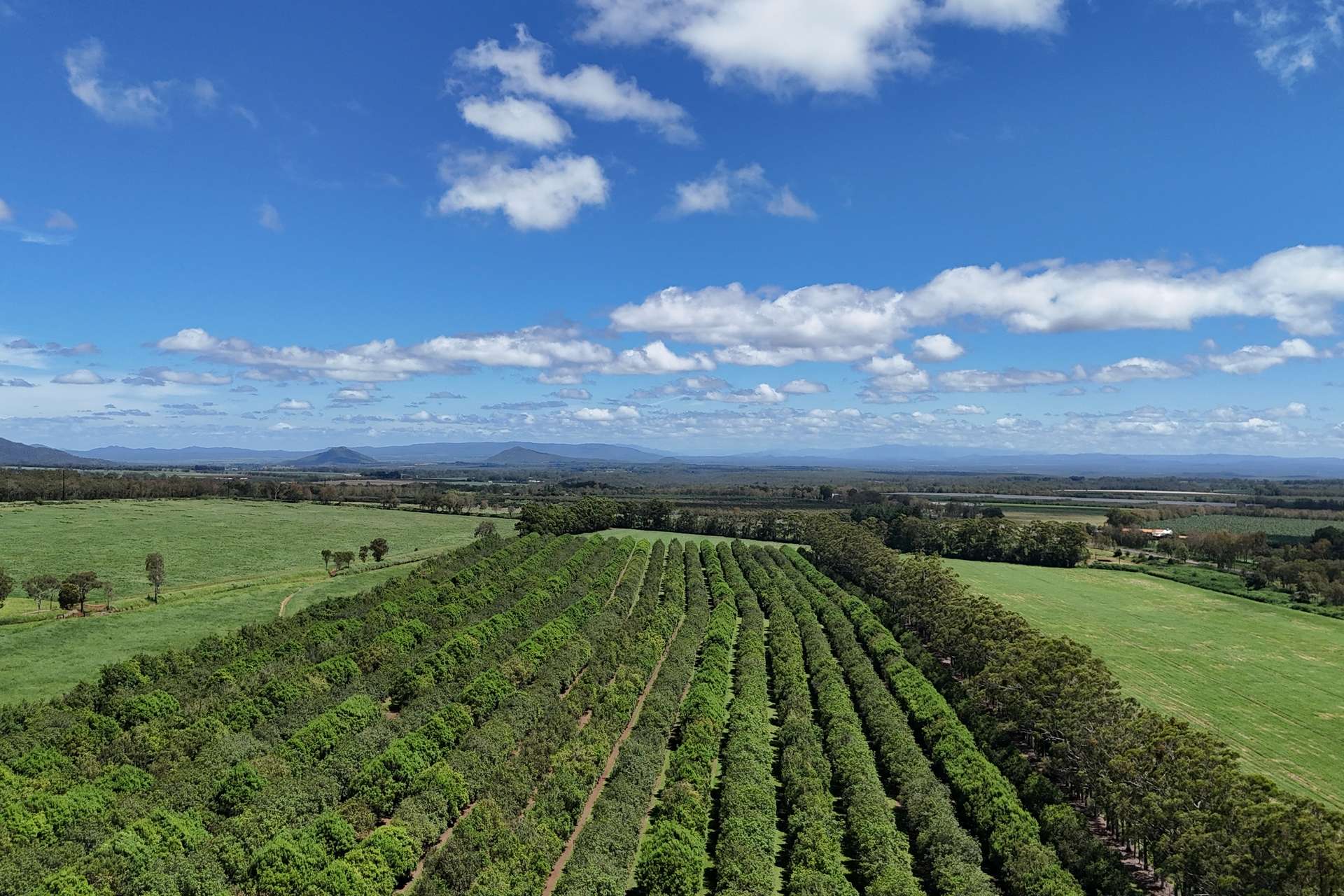 30 Banchio Road, Tolga For Sale by Farmbuy.com - image 10