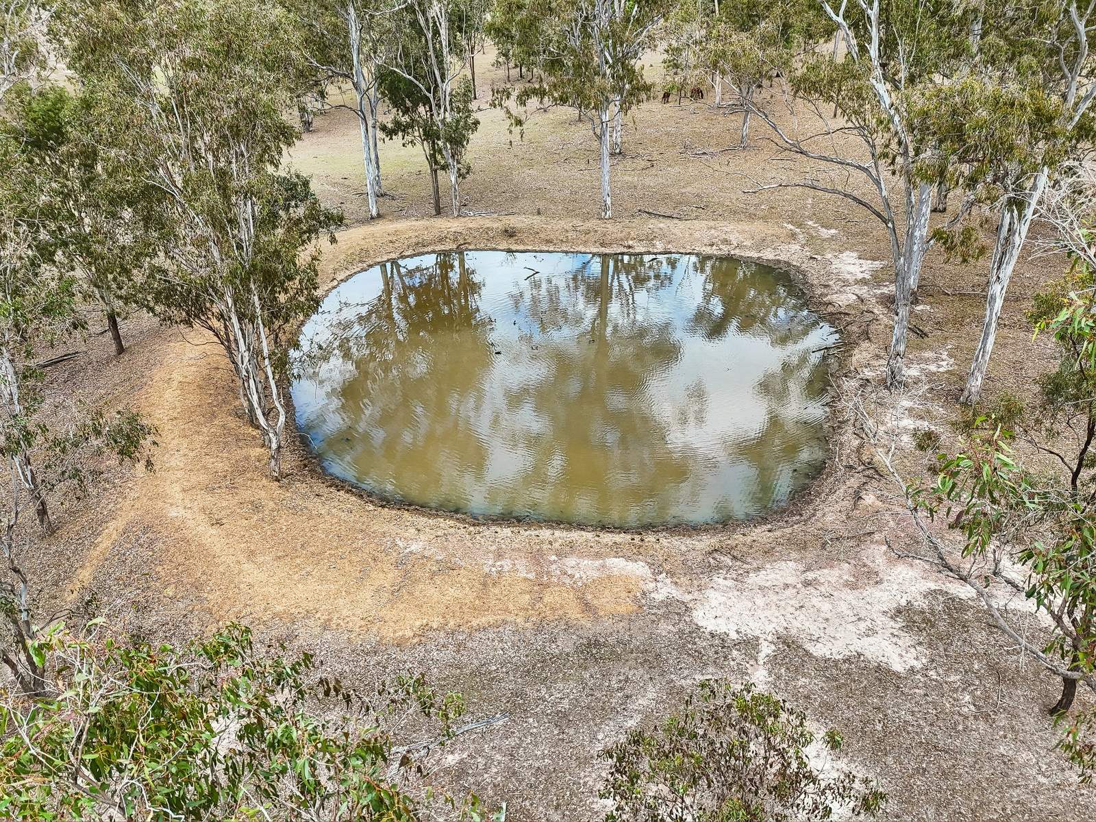 233 Braemore Lane, Braemore Auction by Farmbuy.com - image 6