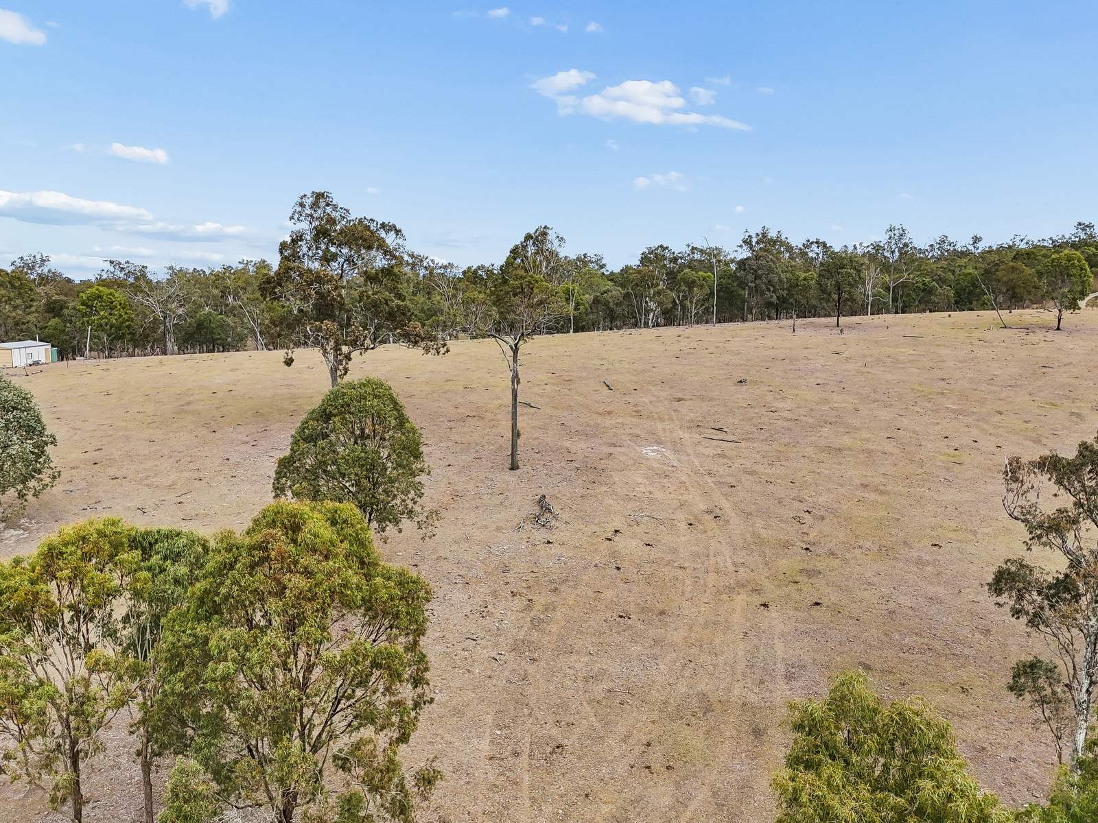 233 Braemore Lane, Braemore Auction by Farmbuy.com - image 8