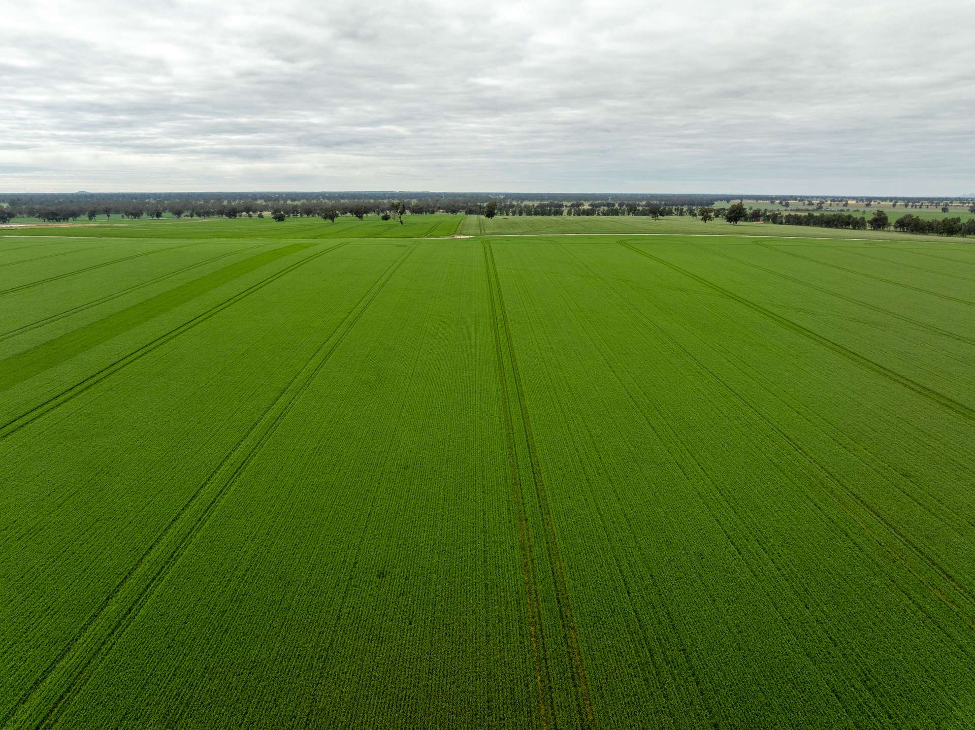 7259 Sturt Highway, Sandigo For Sale by Farmbuy.com - image 8