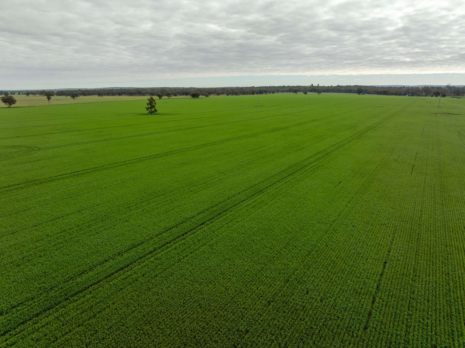 7259 Sturt Highway, Sandigo For Sale by Farmbuy.com - image 3