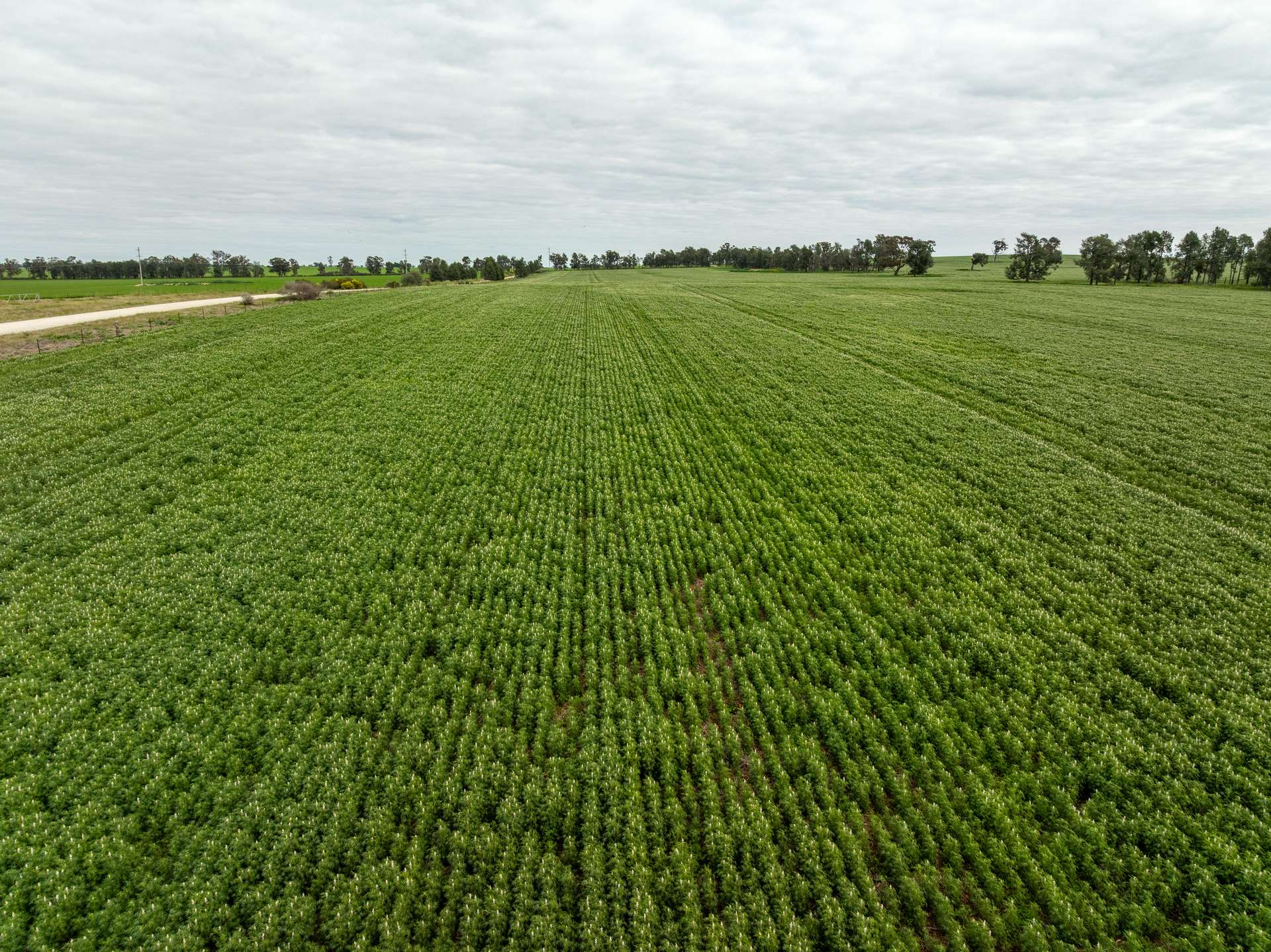 7259 Sturt Highway, Sandigo For Sale by Farmbuy.com - image 5