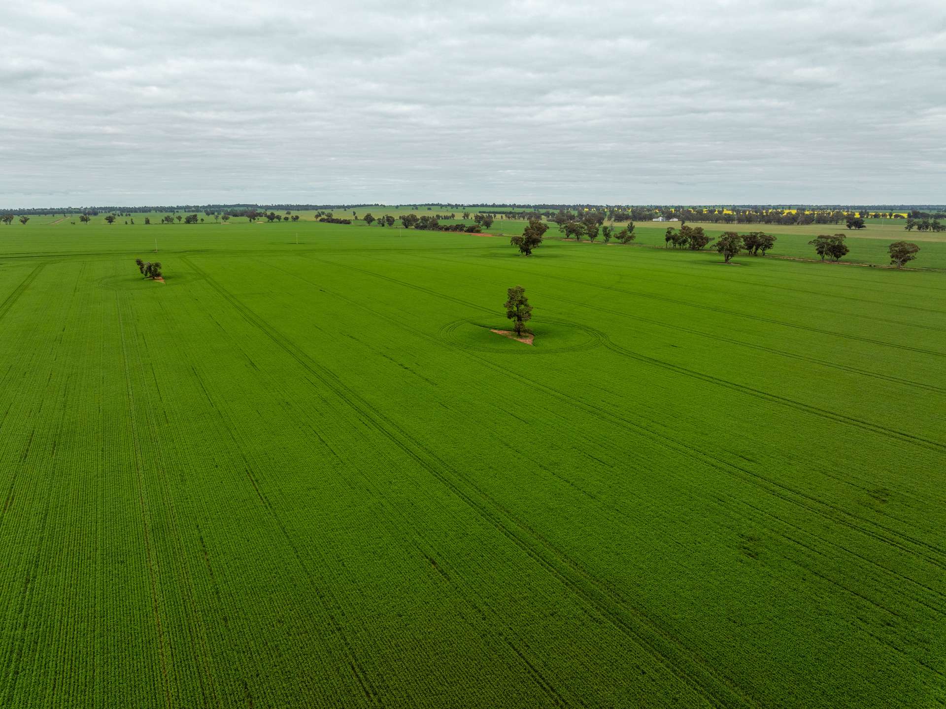 7259 Sturt Highway, Sandigo For Sale by Farmbuy.com - image 4