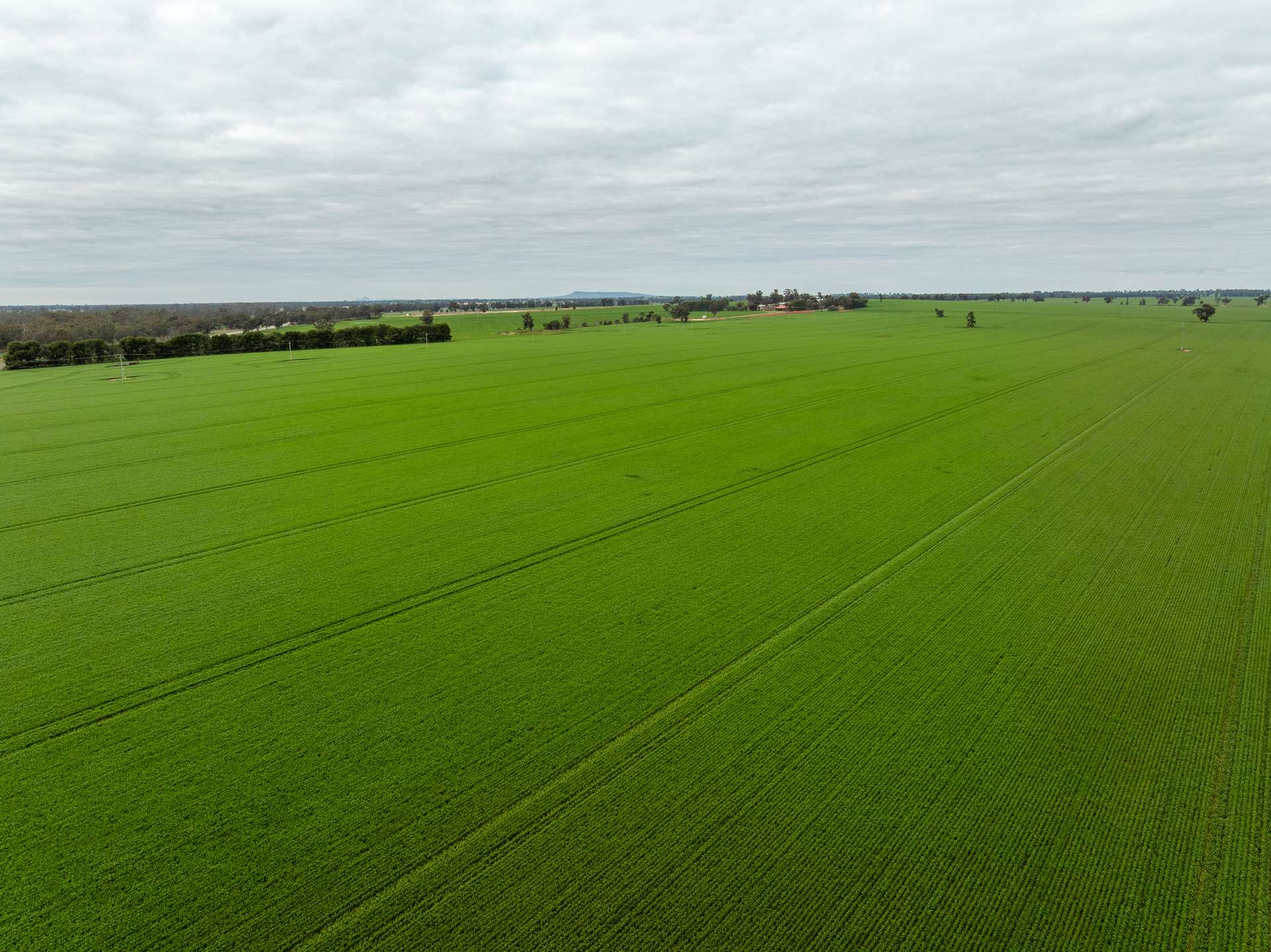 7259 Sturt Highway, Sandigo For Sale by Farmbuy.com - image 1