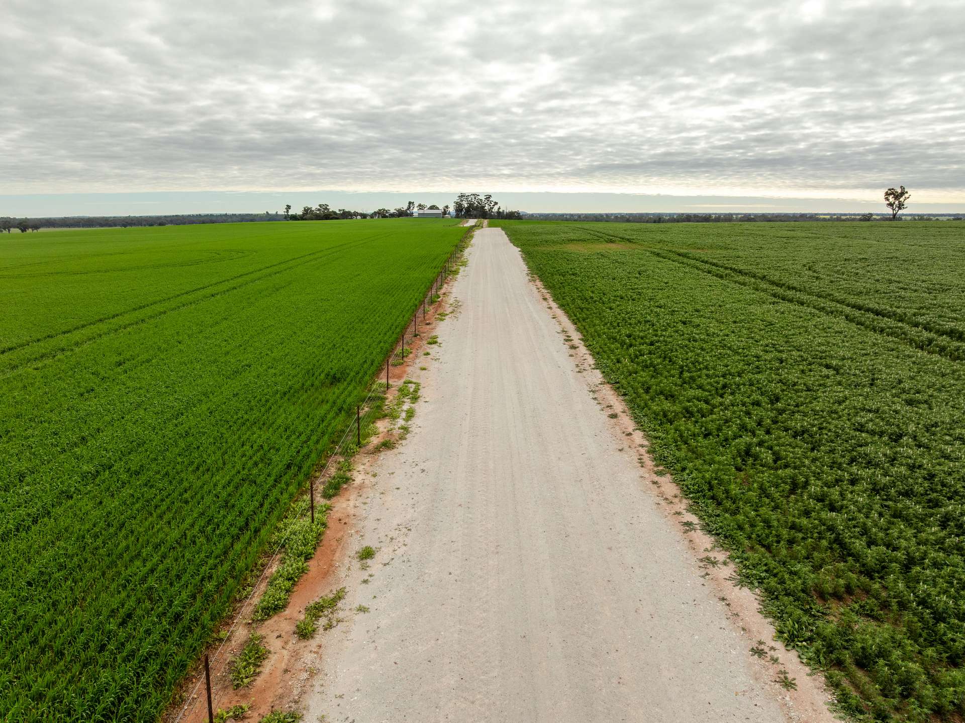 7259 Sturt Highway, Sandigo For Sale by Farmbuy.com - image 6