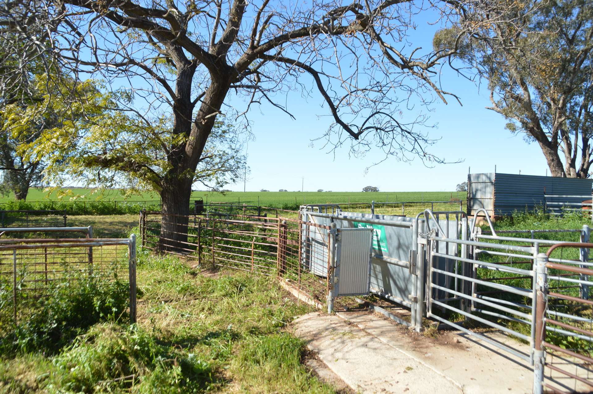 7259 Sturt Highway, Sandigo For Sale by Farmbuy.com - image 16