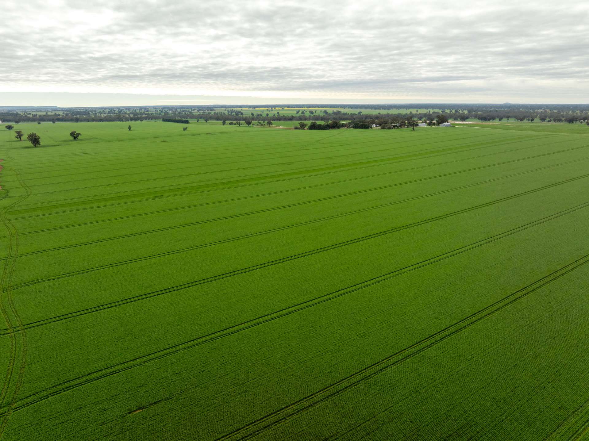 7259 Sturt Highway, Sandigo For Sale by Farmbuy.com - image 7
