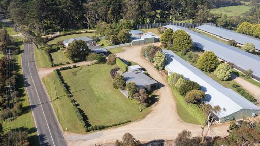 Farm For Sale - VIC - Main Ridge - 3928 - High-Yielding Poultry Farm with Hinterland Setting 