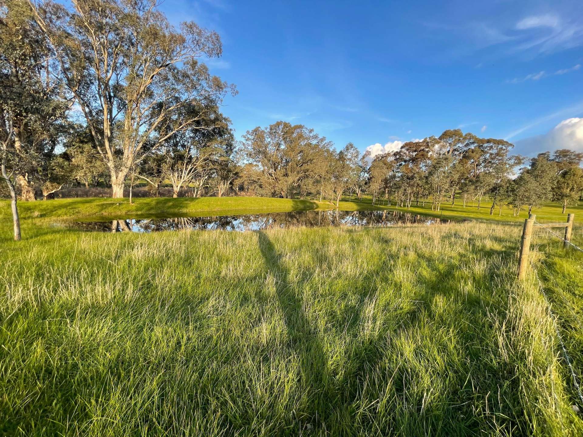 54 Thomas Lane, Heathcote For Sale by Farmbuy.com - image 4