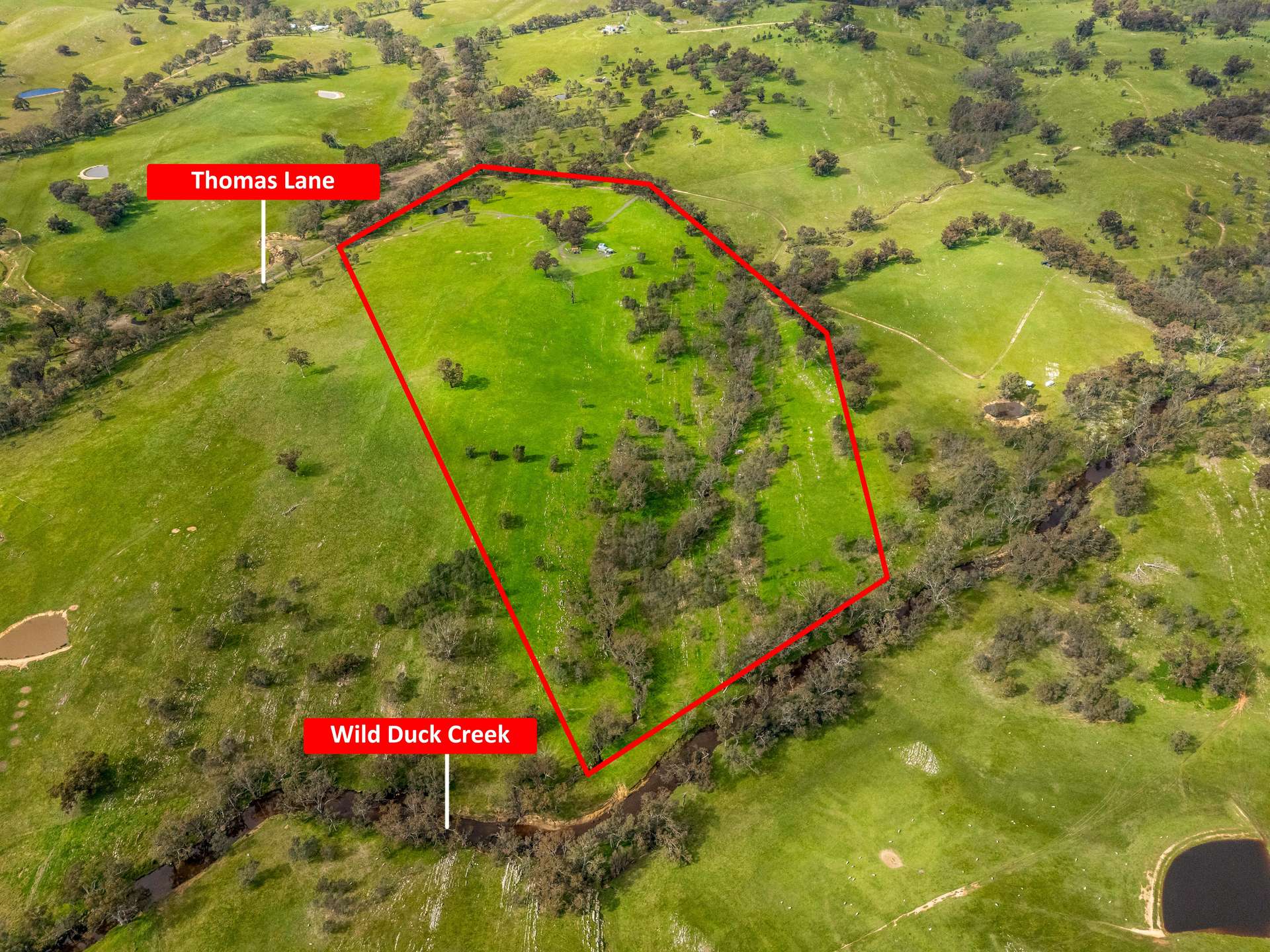 54 Thomas Lane, Heathcote For Sale by Farmbuy.com - image 10