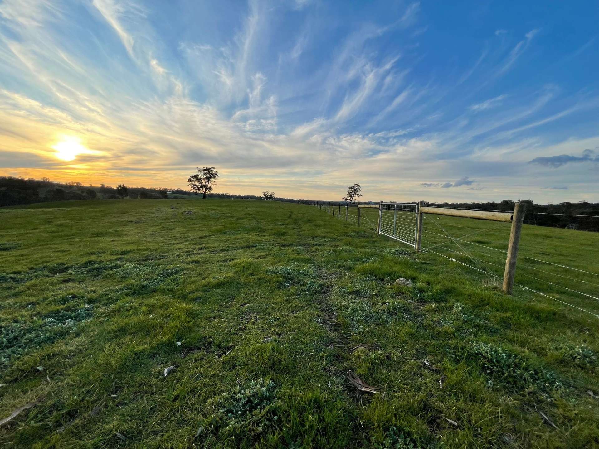 54 Thomas Lane, Heathcote For Sale by Farmbuy.com - image 9