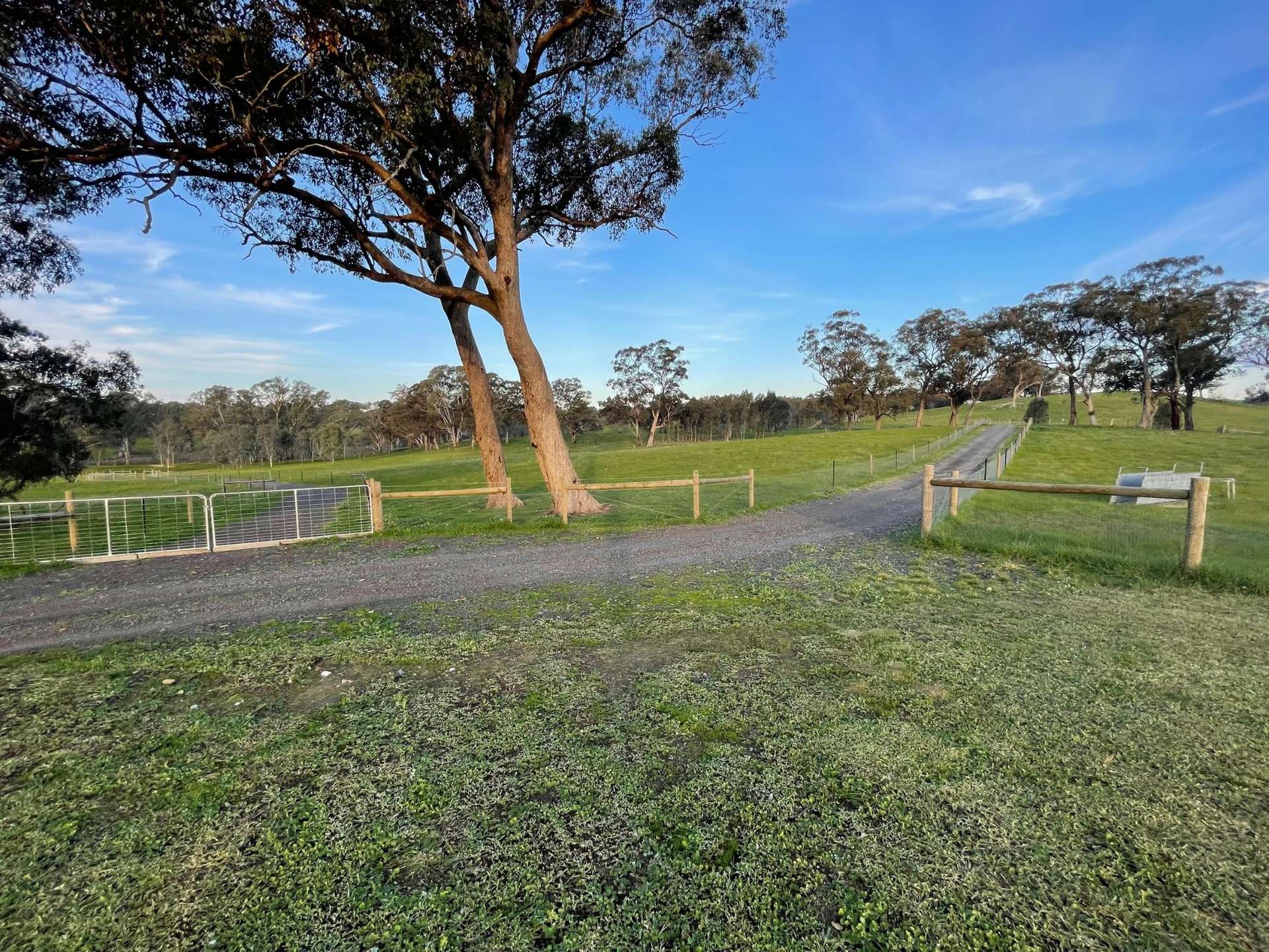 54 Thomas Lane, Heathcote For Sale by Farmbuy.com - image 3