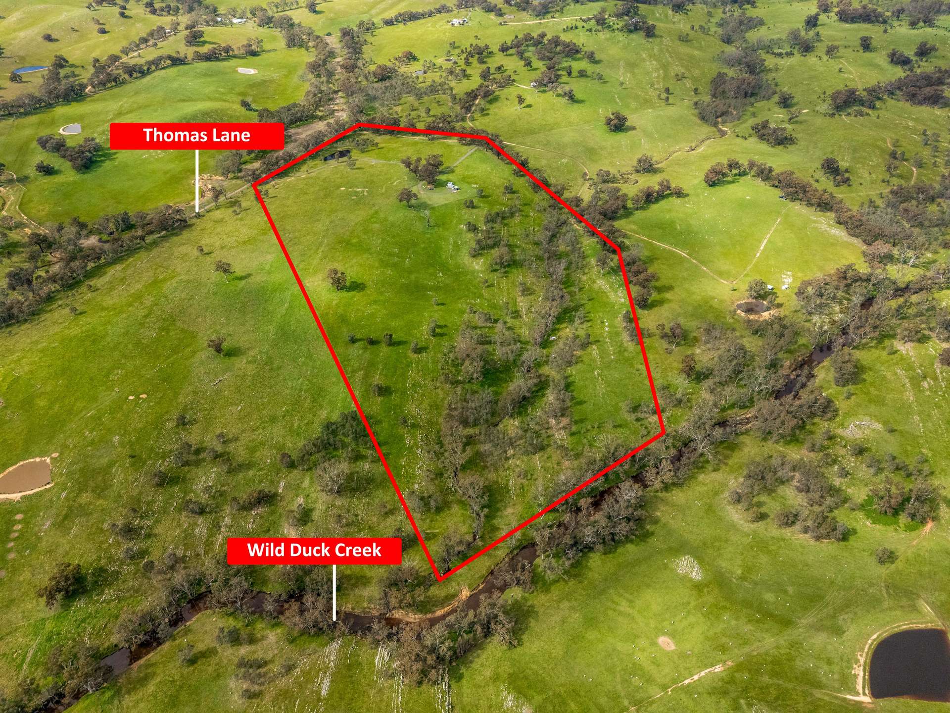 54 Thomas Lane, Heathcote For Sale by Farmbuy.com - image 16