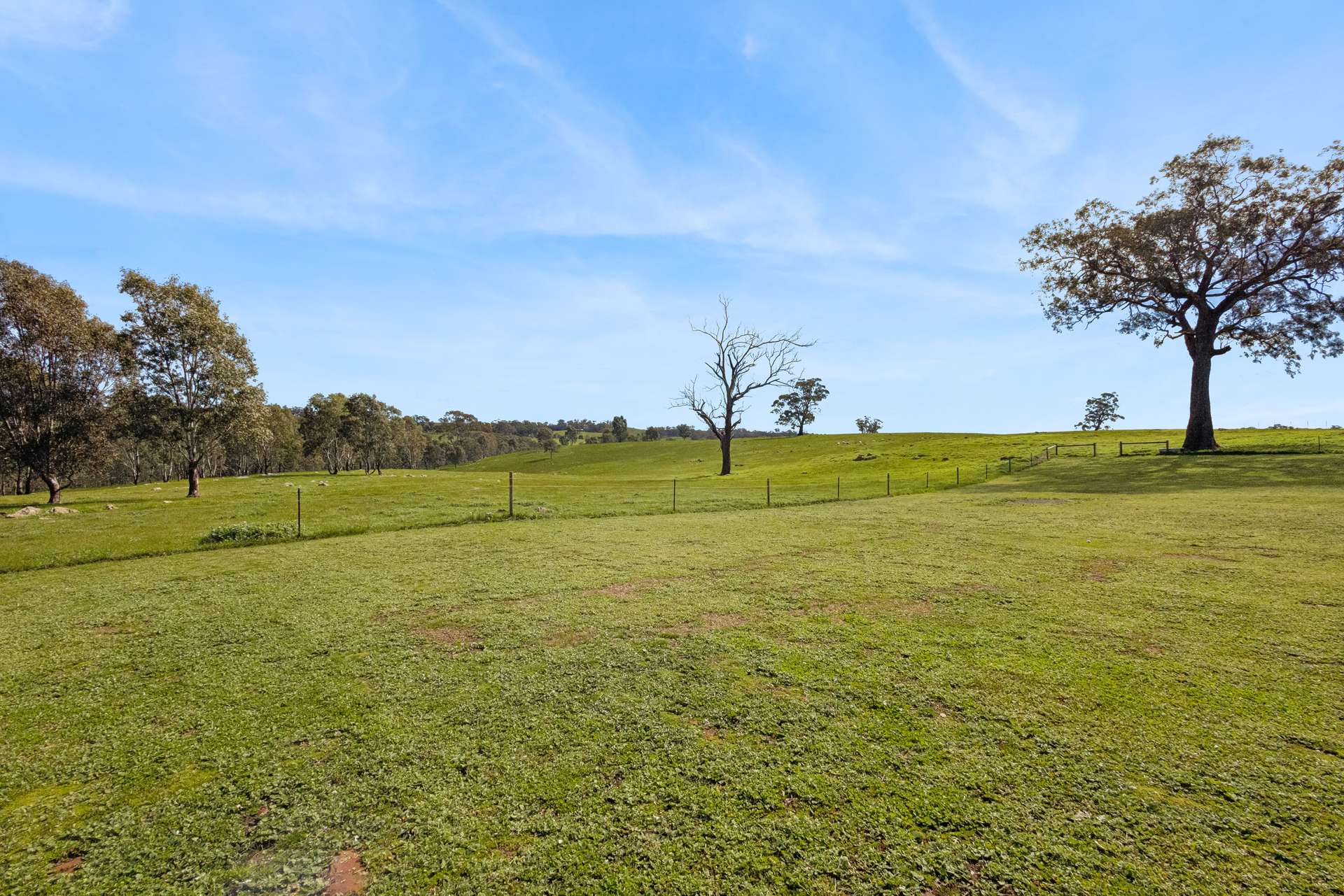 54 Thomas Lane, Heathcote For Sale by Farmbuy.com - image 9