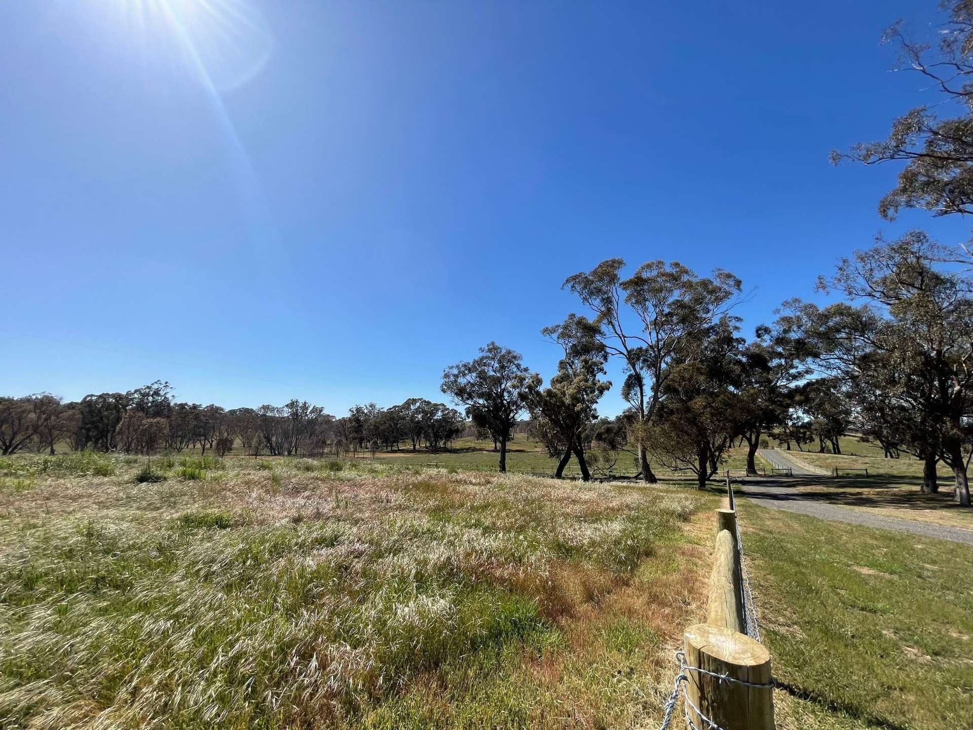 54 Thomas Lane, Heathcote For Sale by Farmbuy.com - image 13