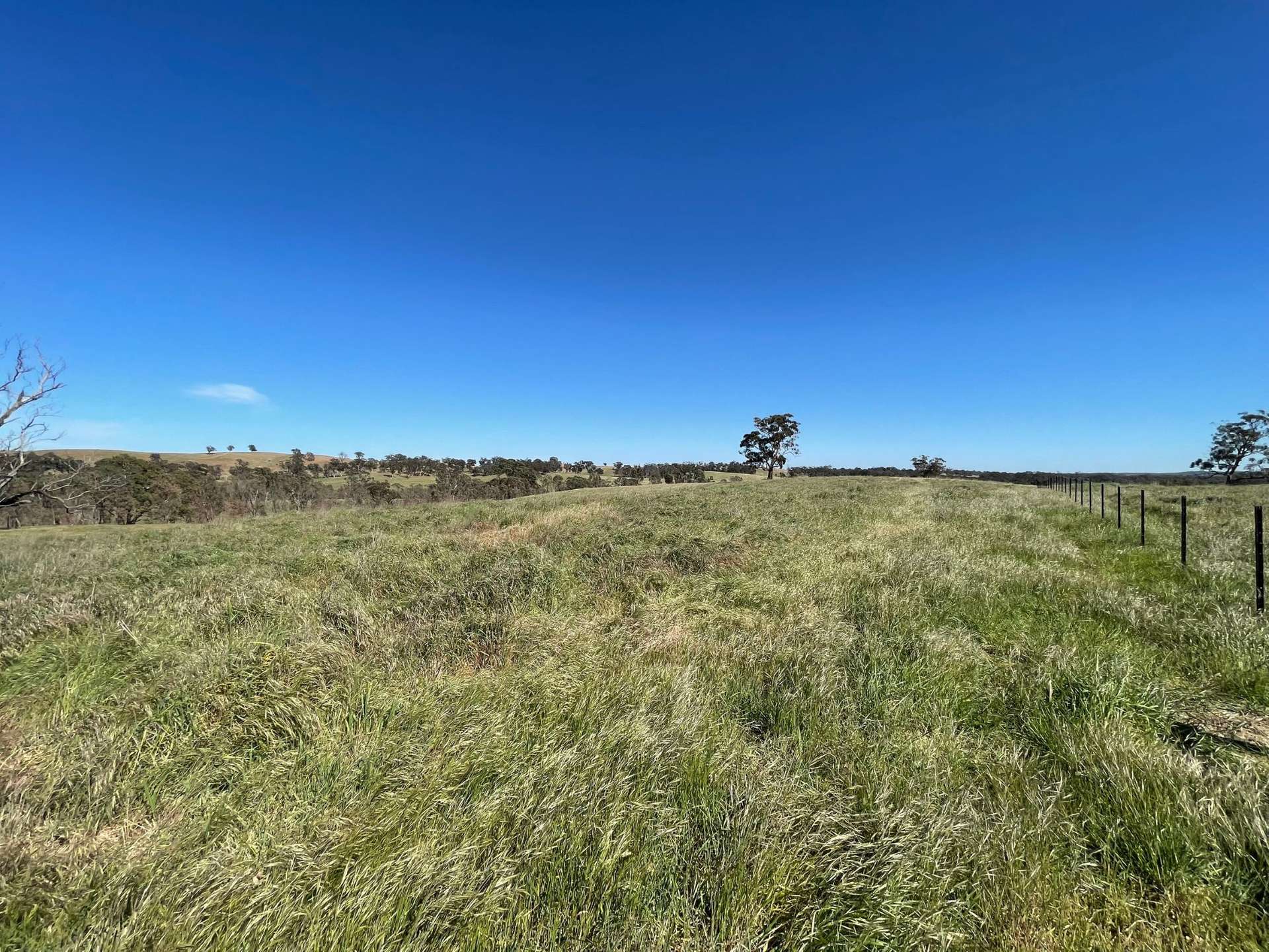 54 Thomas Lane, Heathcote For Sale by Farmbuy.com - image 12