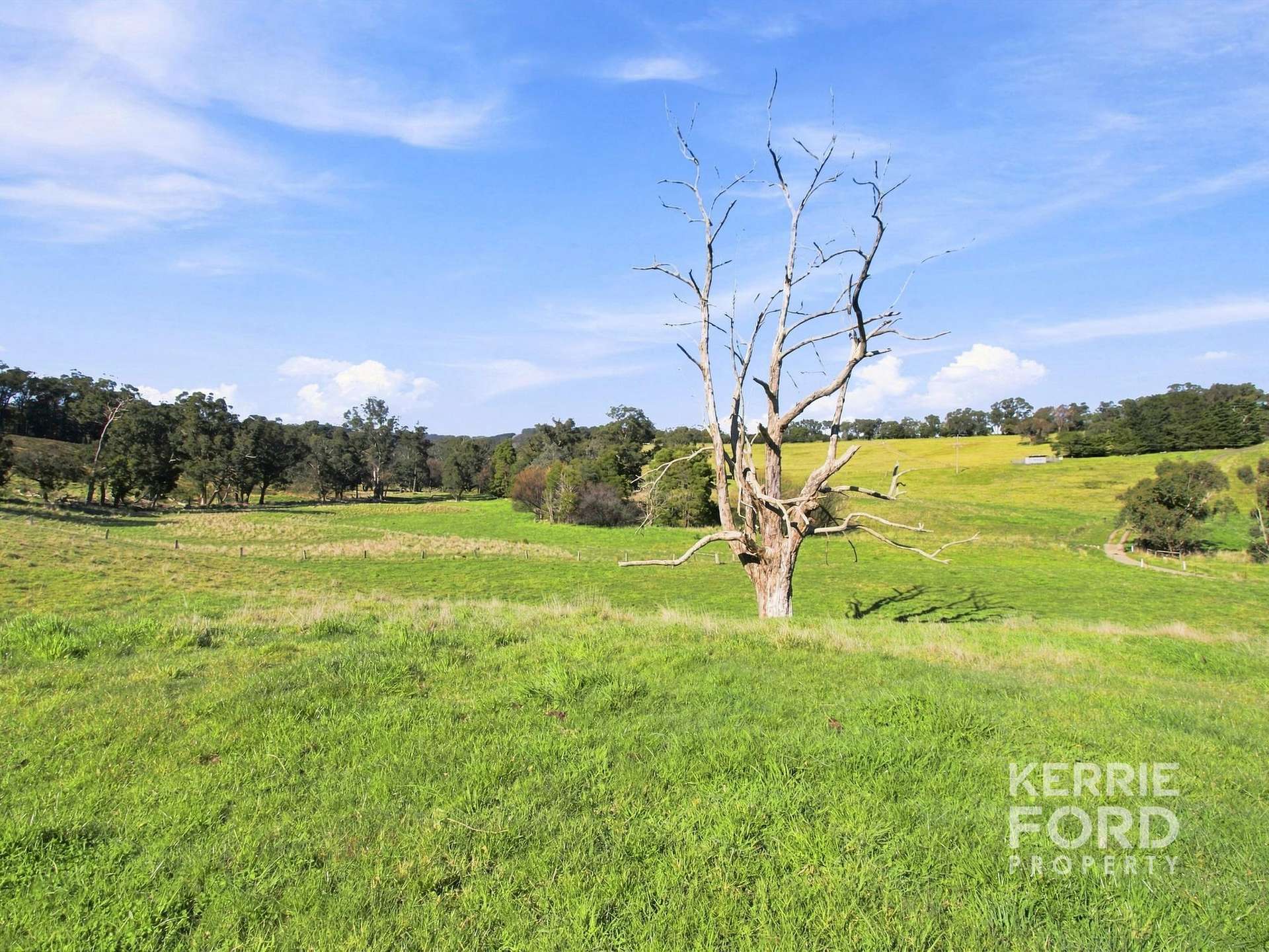 177 Banks Road, Gormandale For Sale by Farmbuy.com - image 19