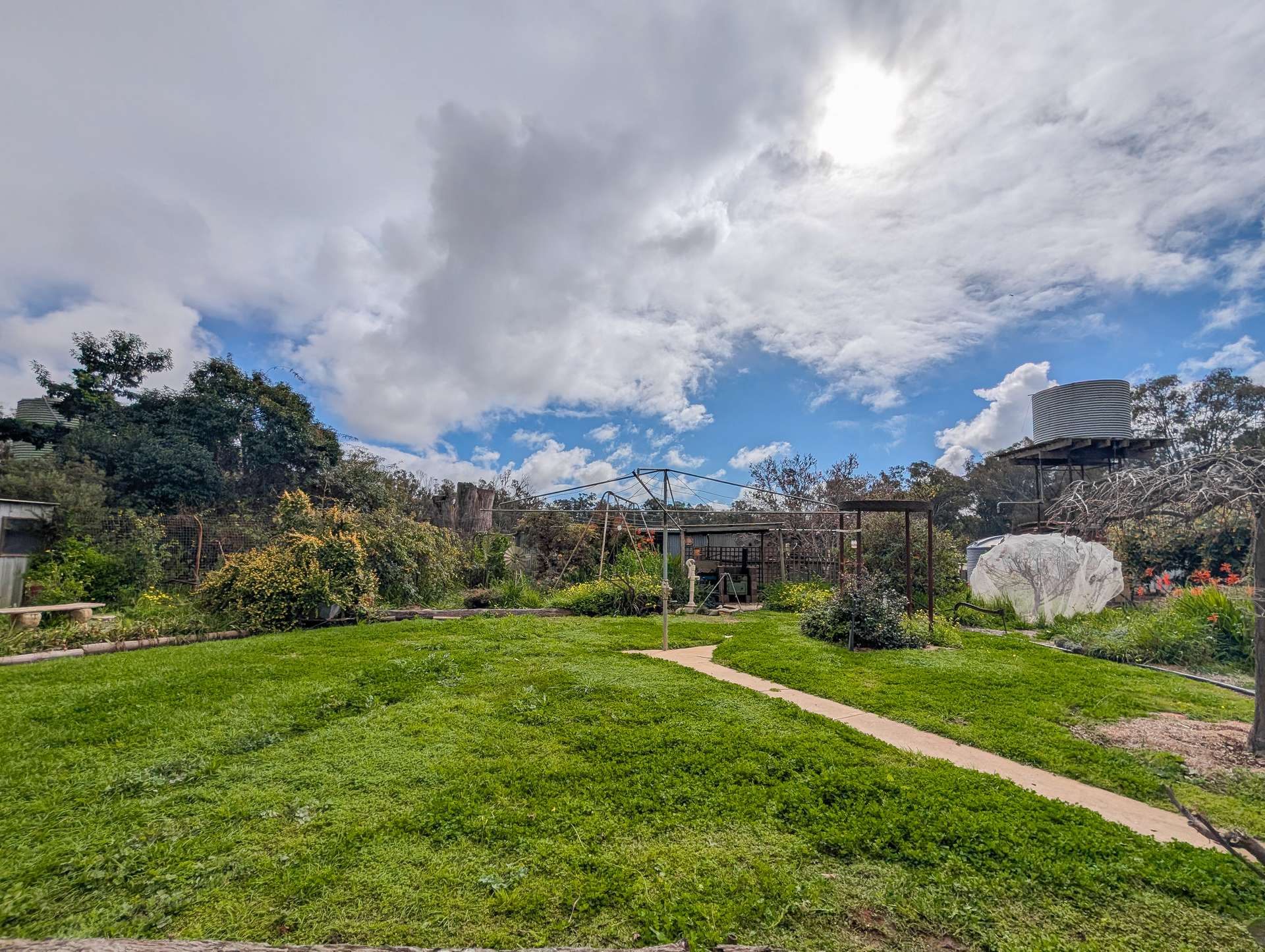 3620 Murray Valley Highway, Wood Wood For Sale by Farmbuy.com - image 32