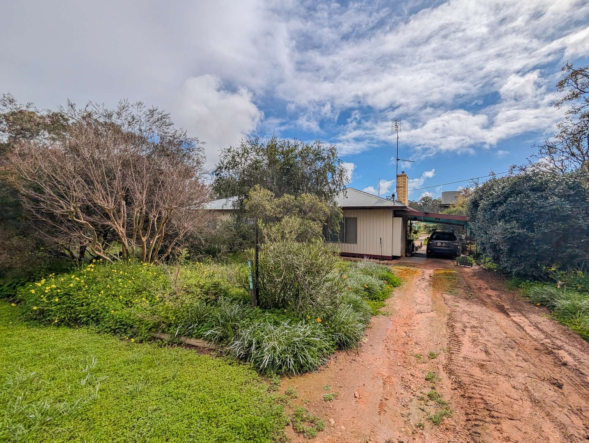 3620 Murray Valley Highway, Wood Wood For Sale by Farmbuy.com - image 3