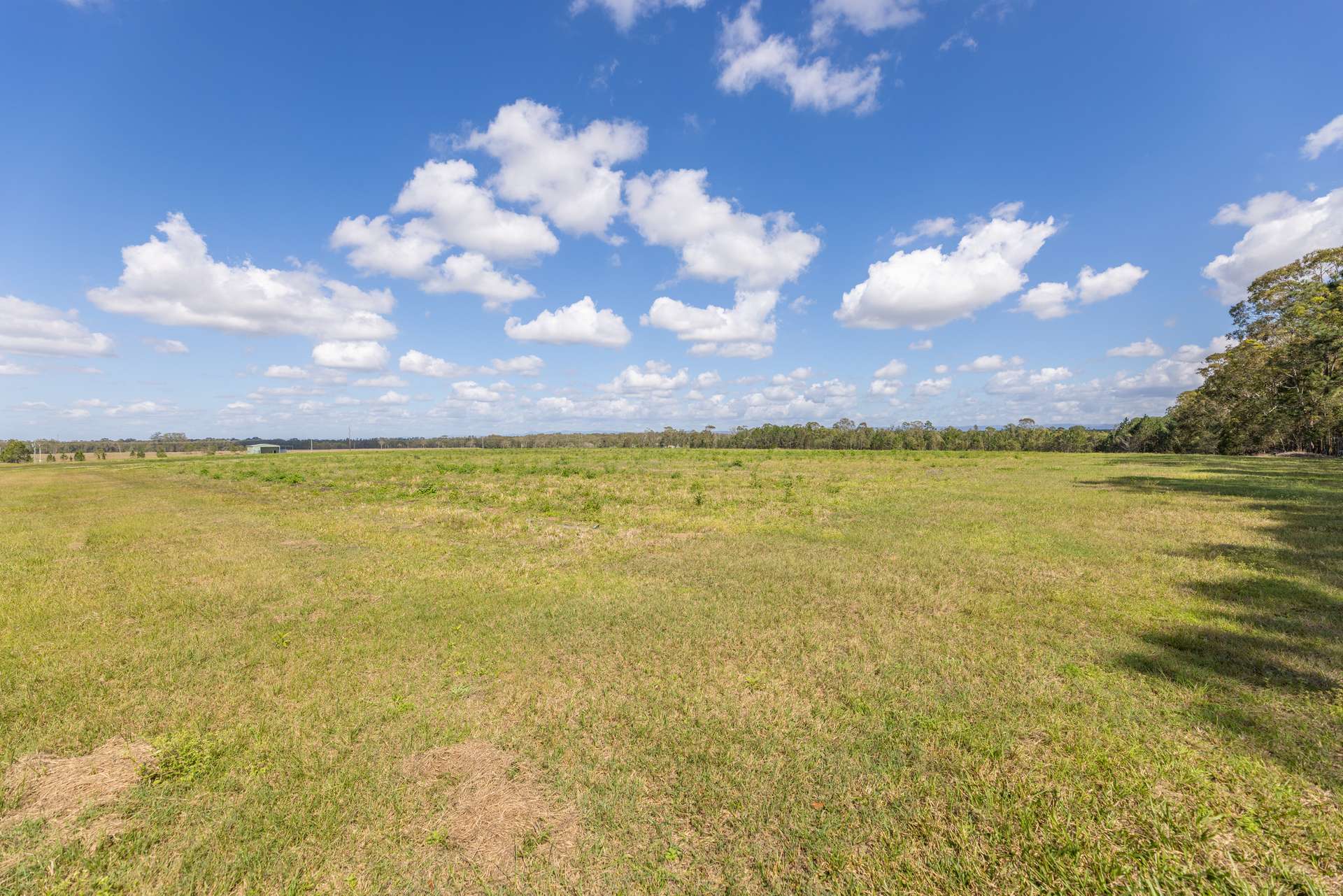 443-445 Wallace Road North, Ningi Auction by Farmbuy.com - image 5