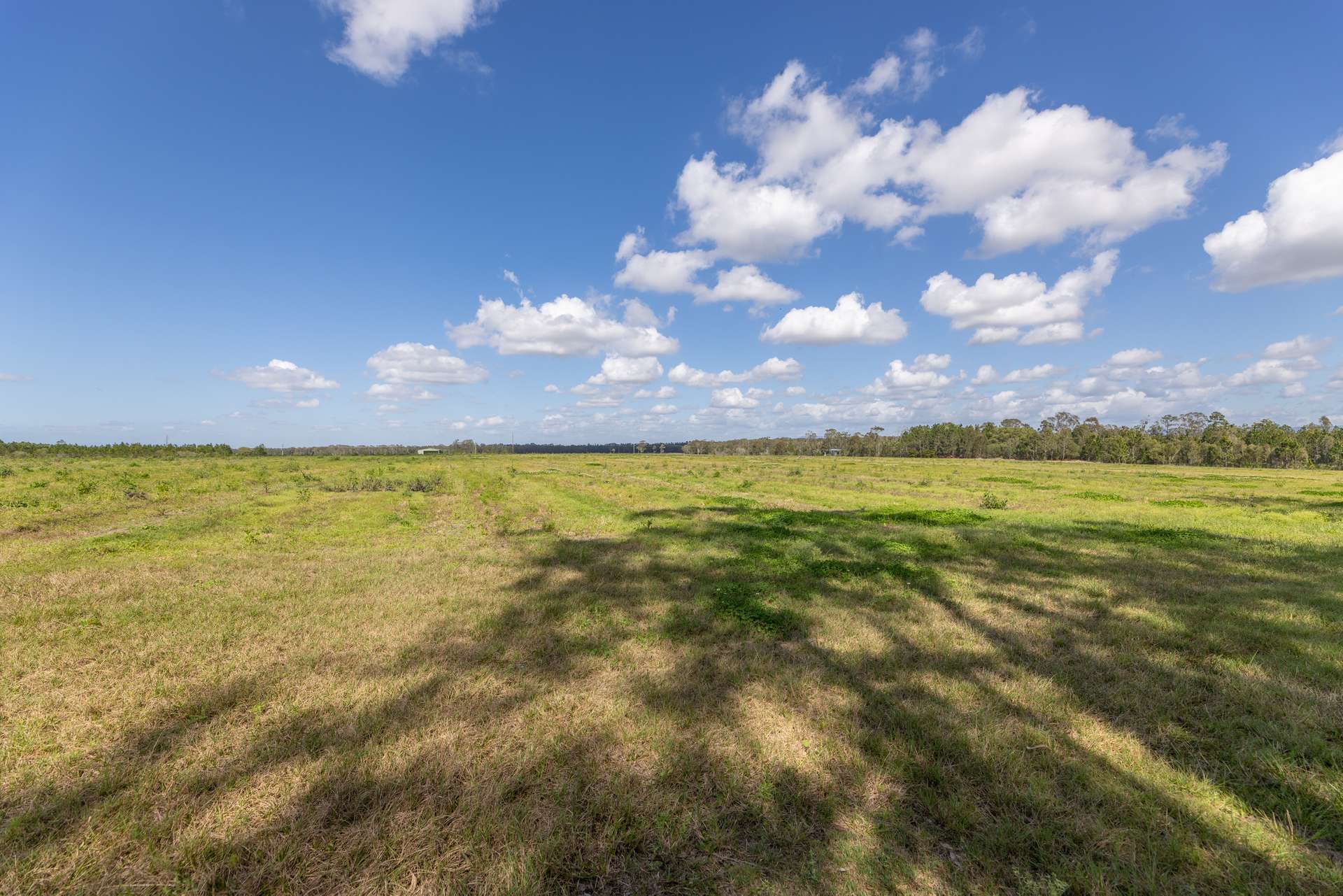 443-445 Wallace Road North, Ningi Auction by Farmbuy.com - image 11