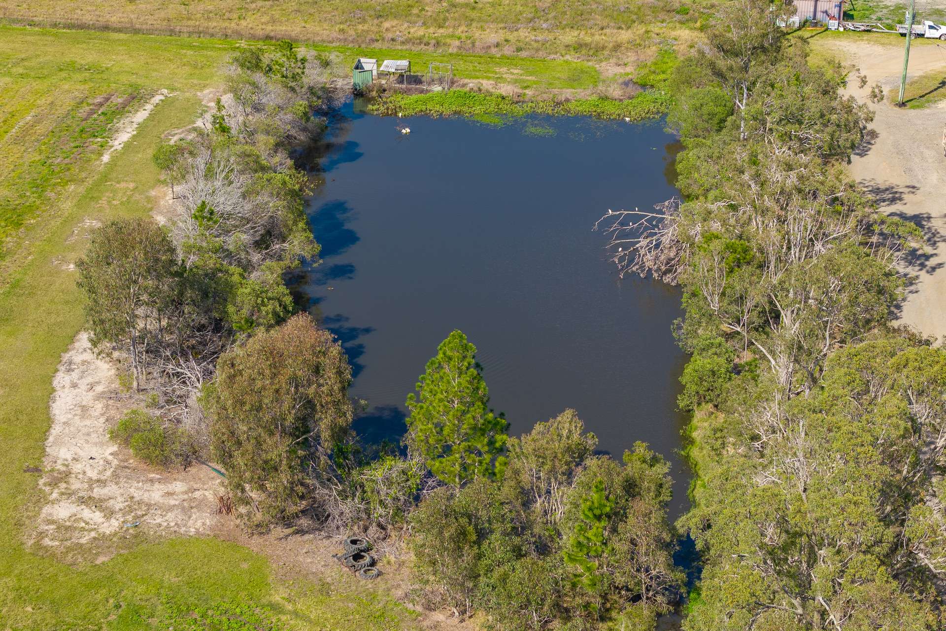 443-445 Wallace Road North, Ningi Auction by Farmbuy.com - image 15