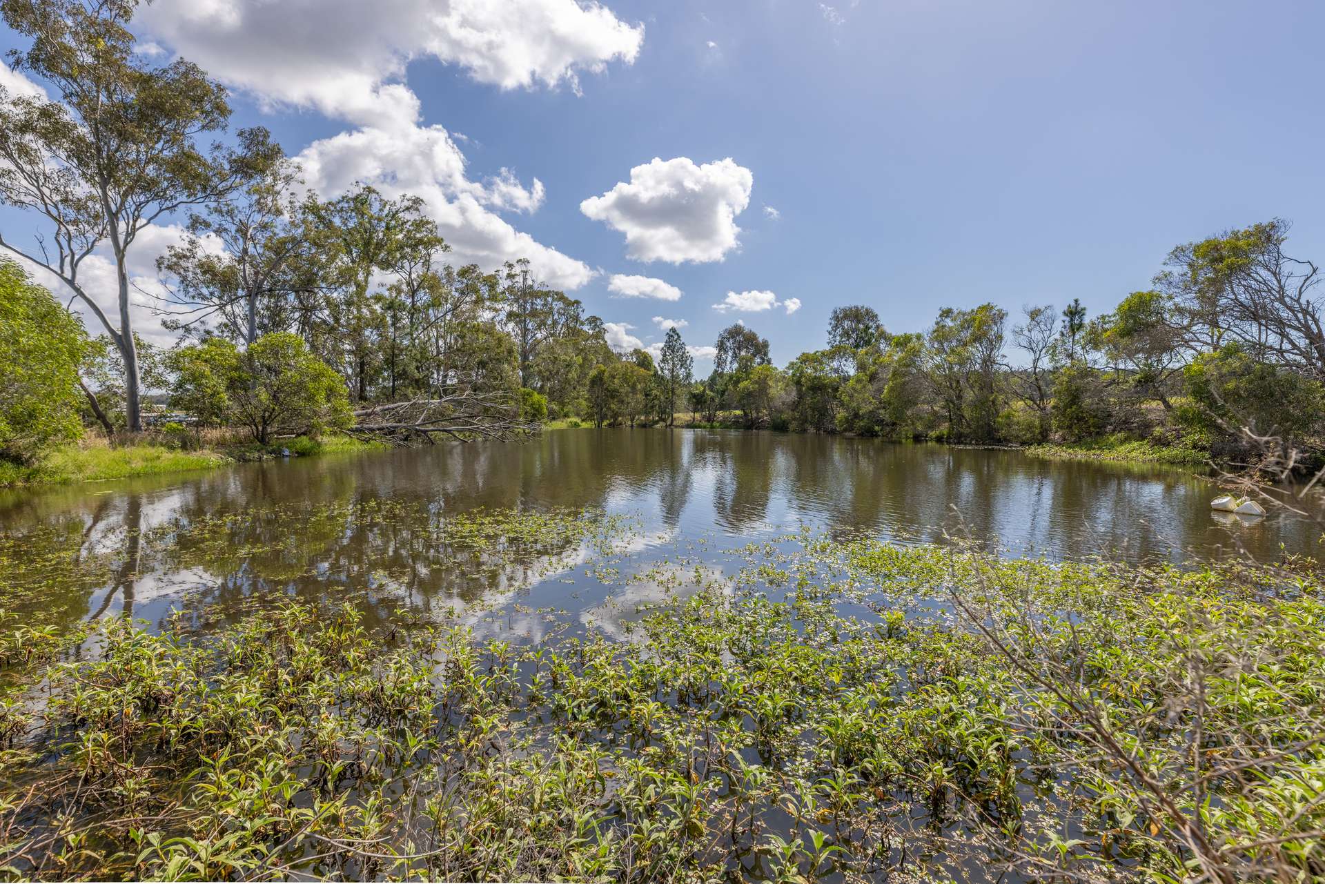 443-445 Wallace Road North, Ningi Auction by Farmbuy.com - image 17