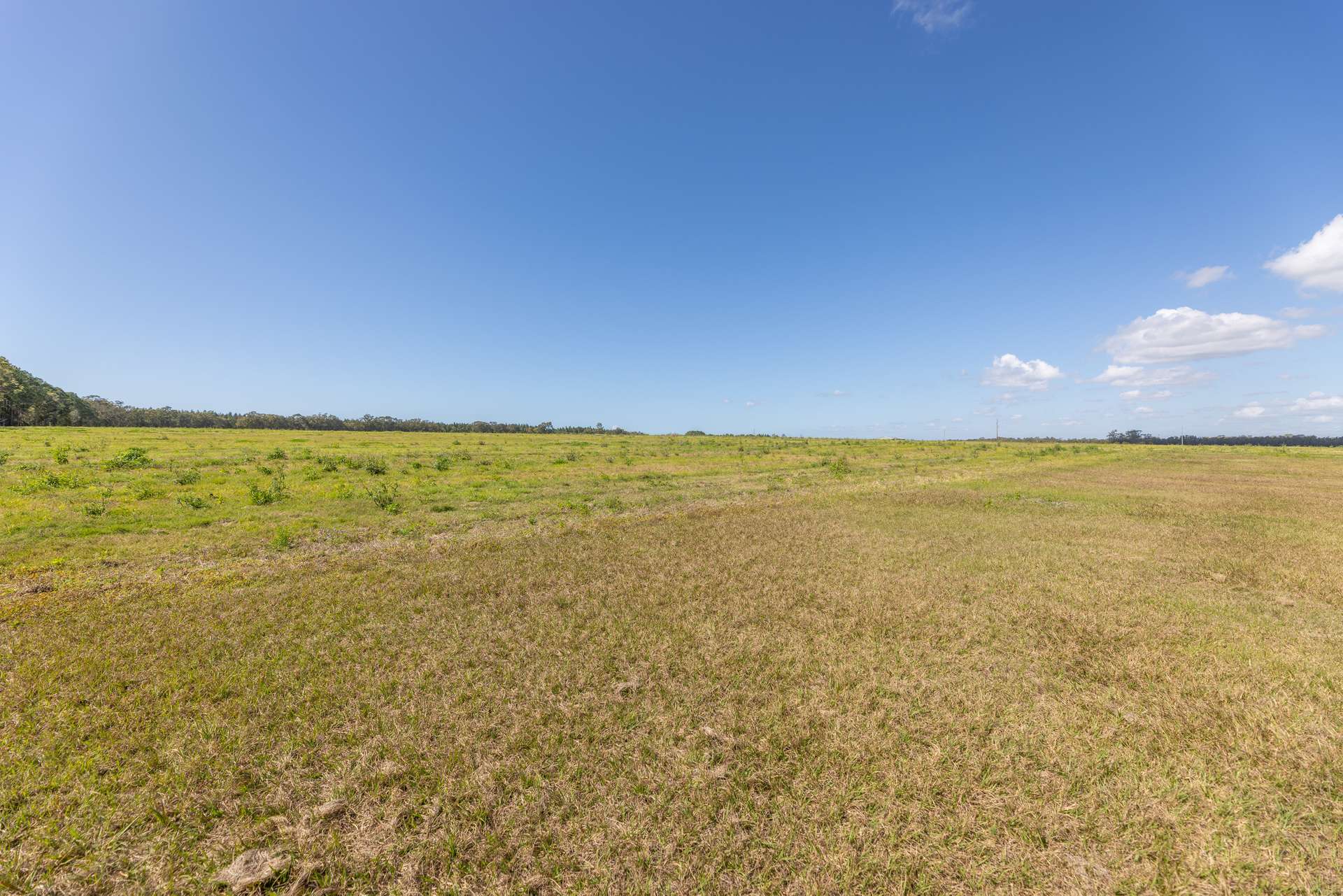 443-445 Wallace Road North, Ningi Auction by Farmbuy.com - image 14