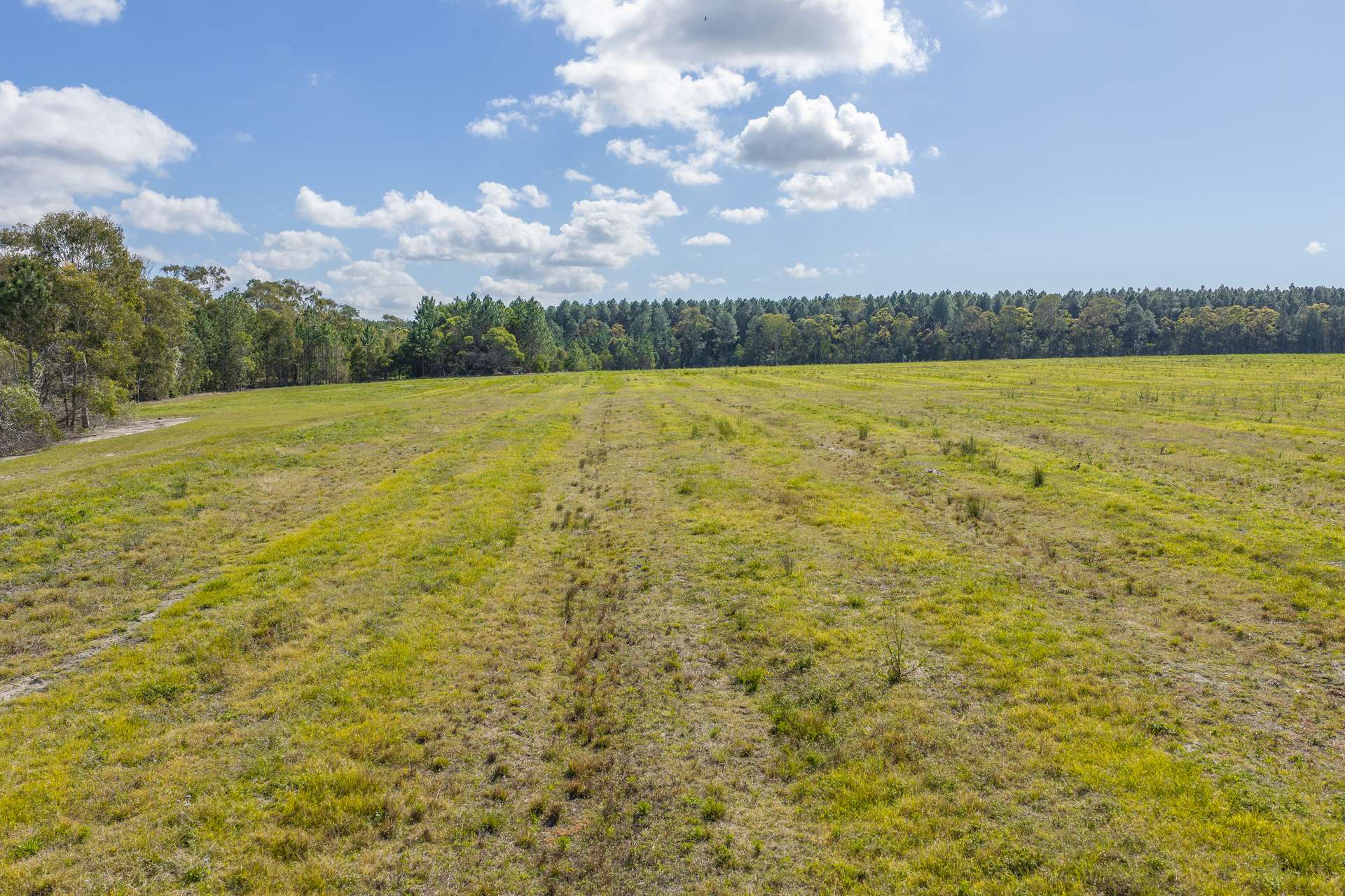 443-445 Wallace Road North, Ningi Auction by Farmbuy.com - image 25