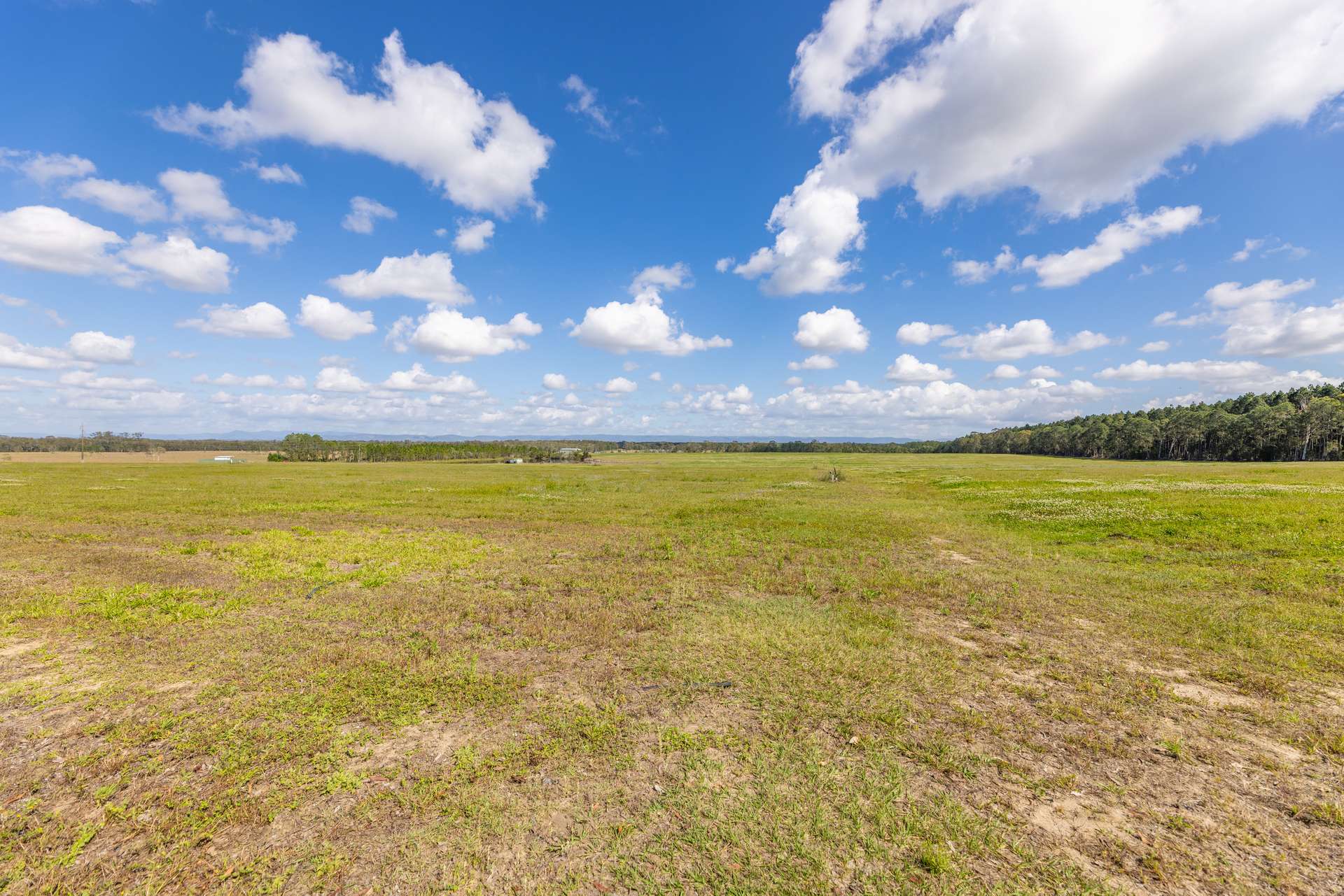 447-490 Wallace Road North, Ningi Auction by Farmbuy.com - image 5