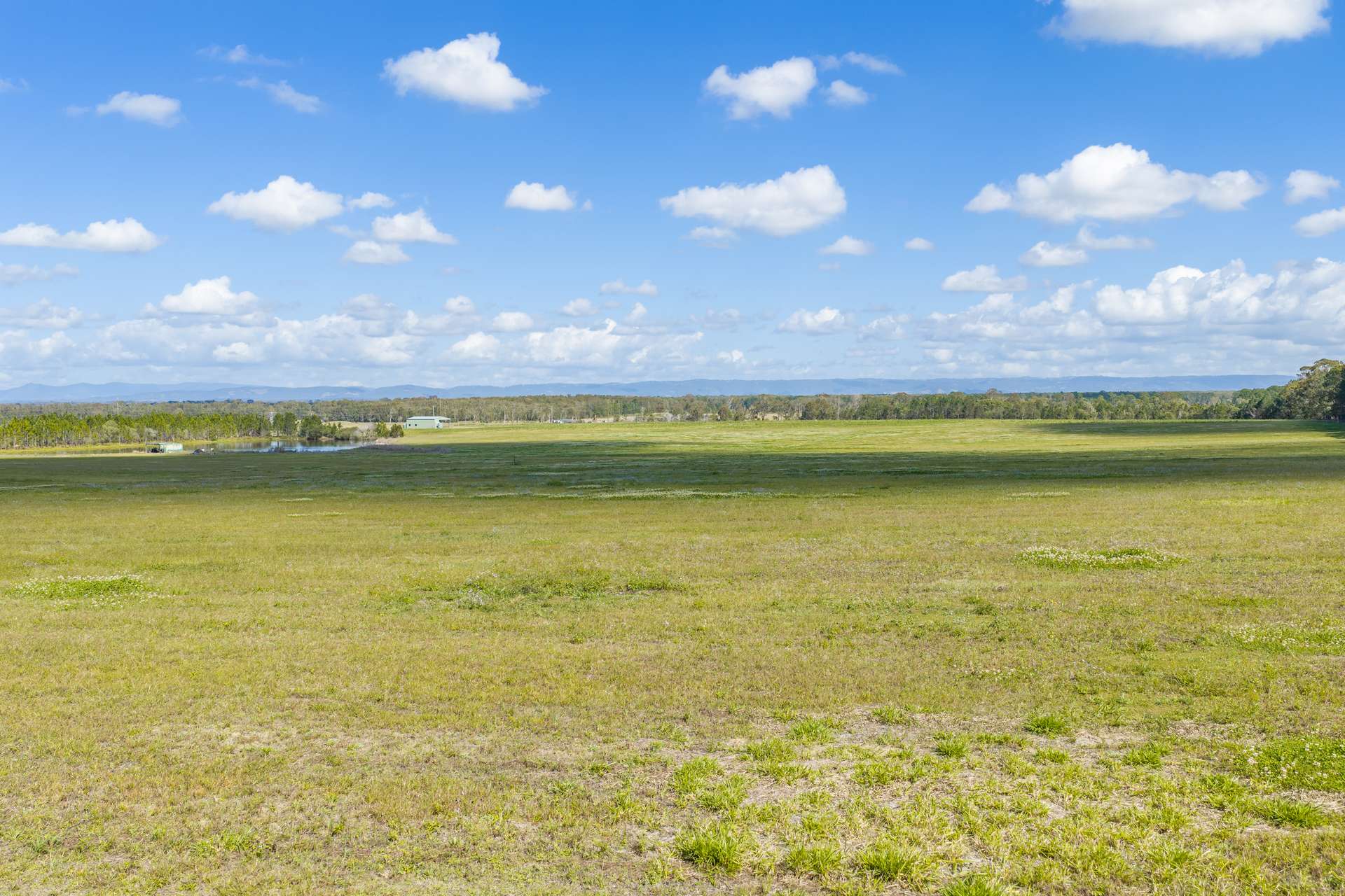 447-490 Wallace Road North, Ningi Auction by Farmbuy.com - image 13