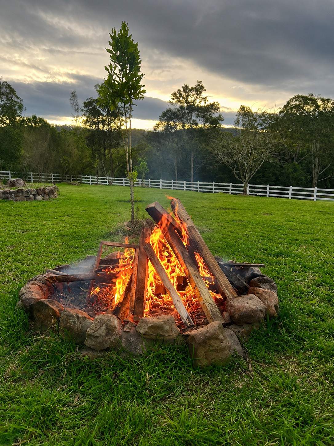 Booral For Sale by Farmbuy.com - image 26