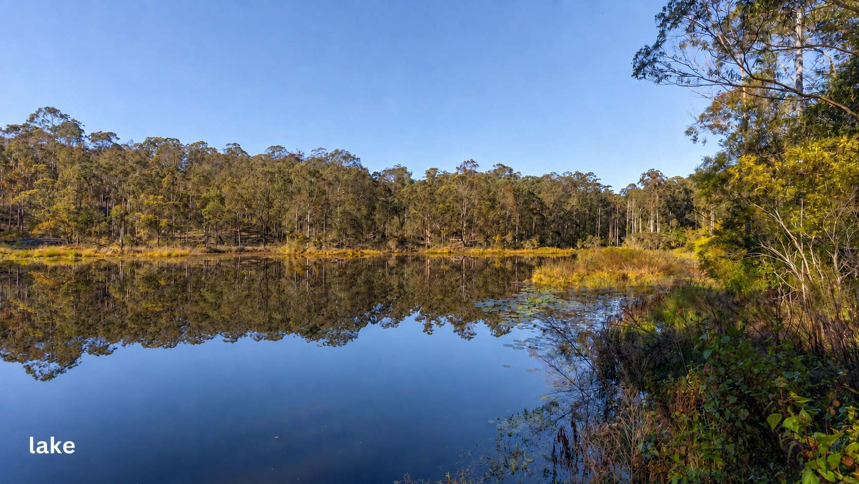 Booral For Sale by Farmbuy.com - image 31