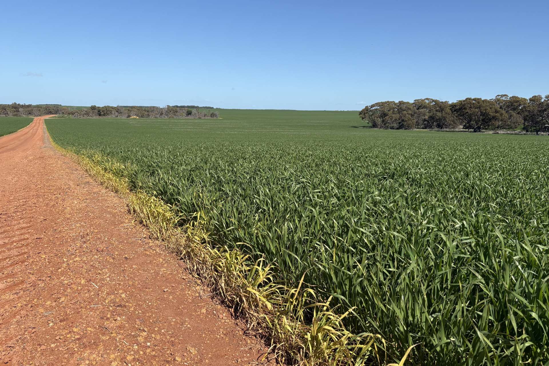 6430 Dandaragan Moora Road, Moora For Sale by Farmbuy.com - image 9