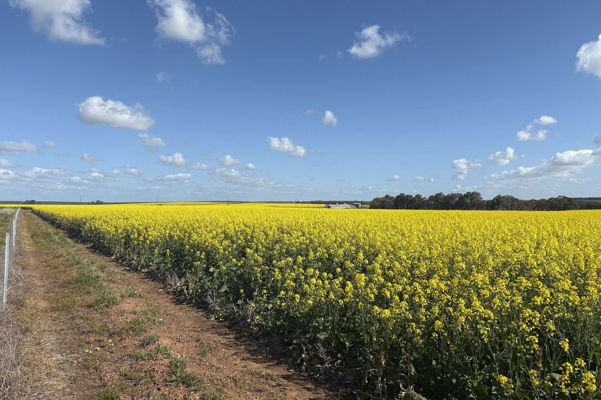 6430 Dandaragan Moora Road, Moora For Sale by Farmbuy.com - image 13