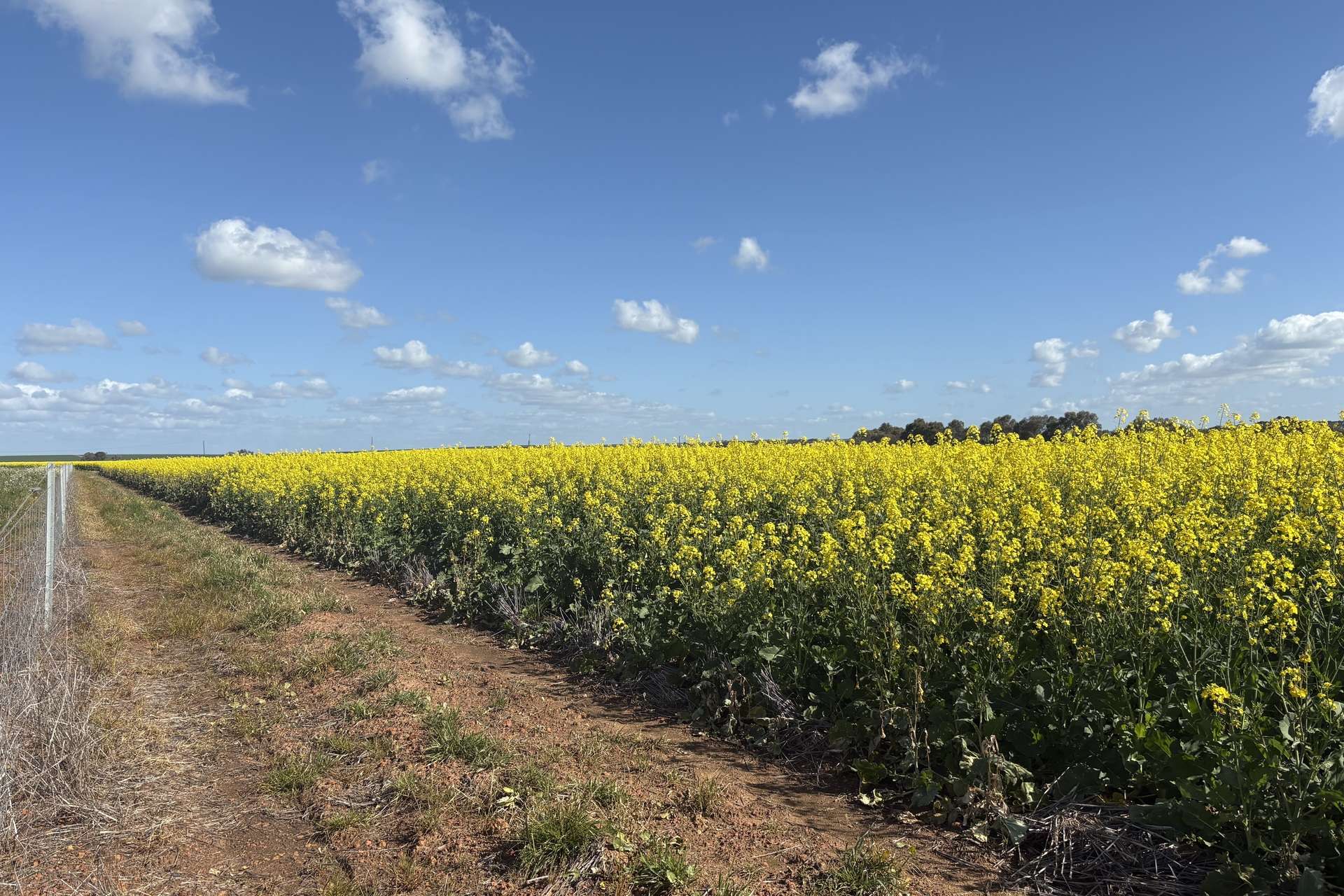 6430 Dandaragan Moora Road, Moora For Sale by Farmbuy.com - image 12