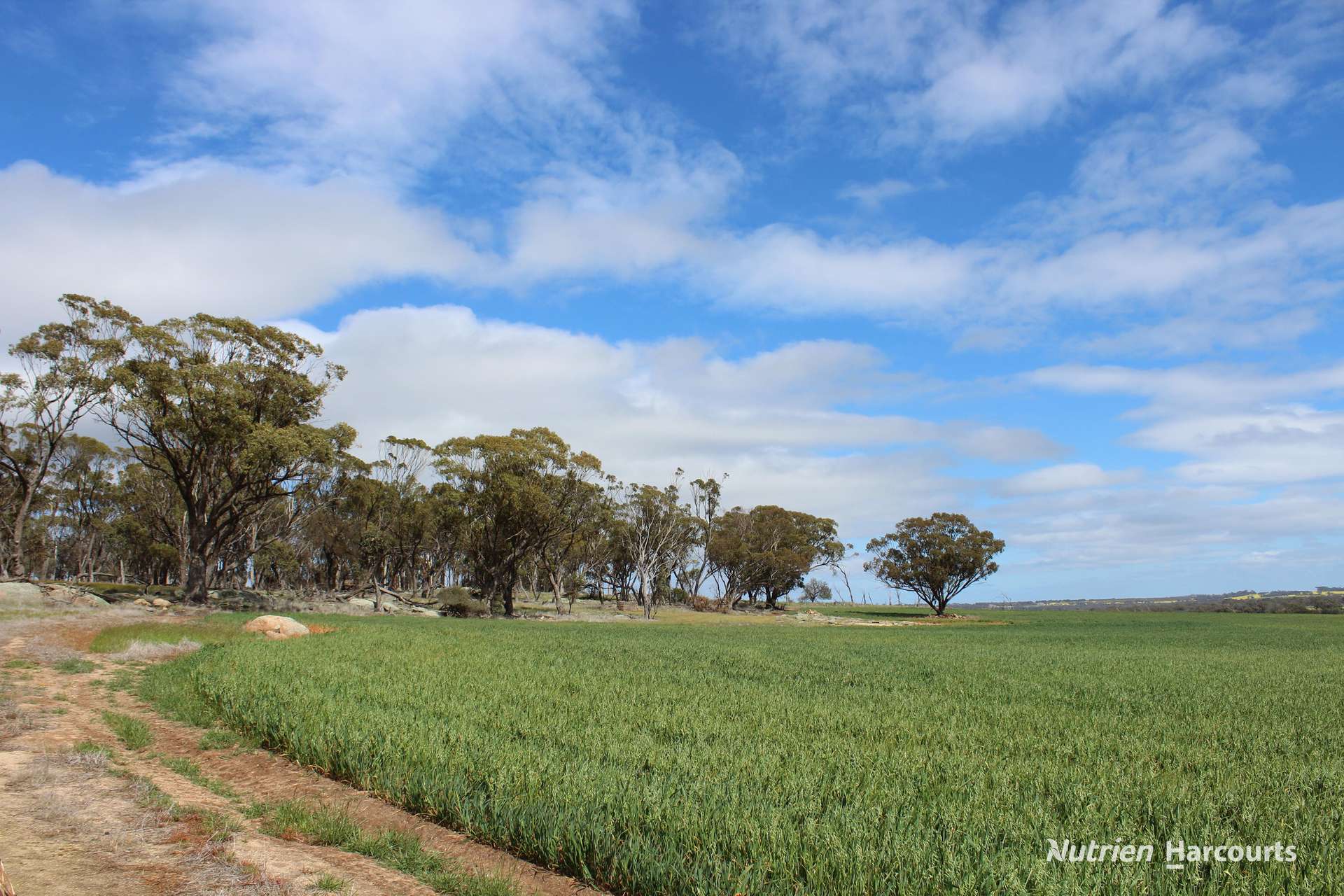 Lot 4031 Jackadine Farm, Pingelly For Sale by Farmbuy.com - image 10