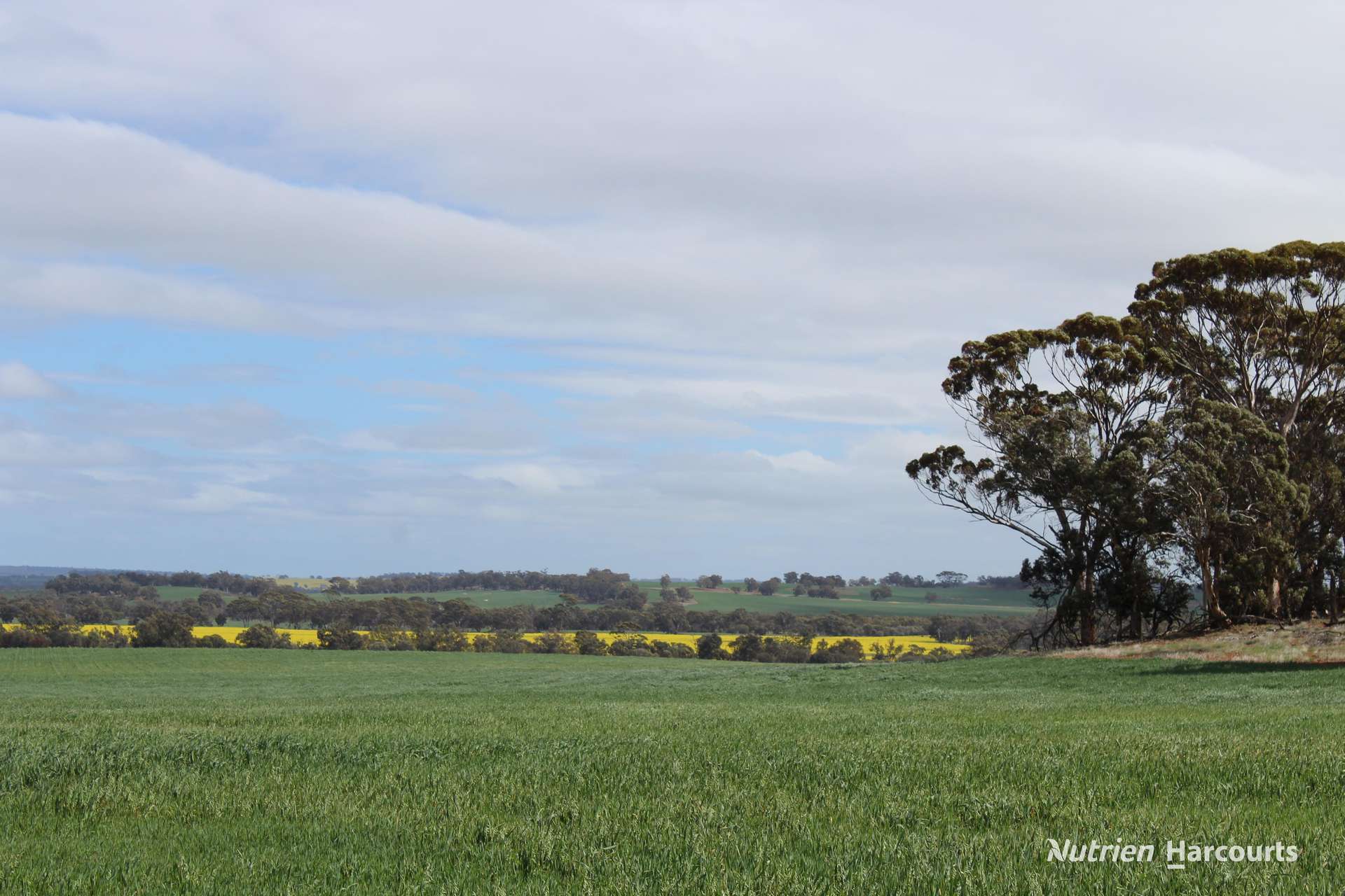 Lot 4031 Jackadine Farm, Pingelly For Sale by Farmbuy.com - image 7