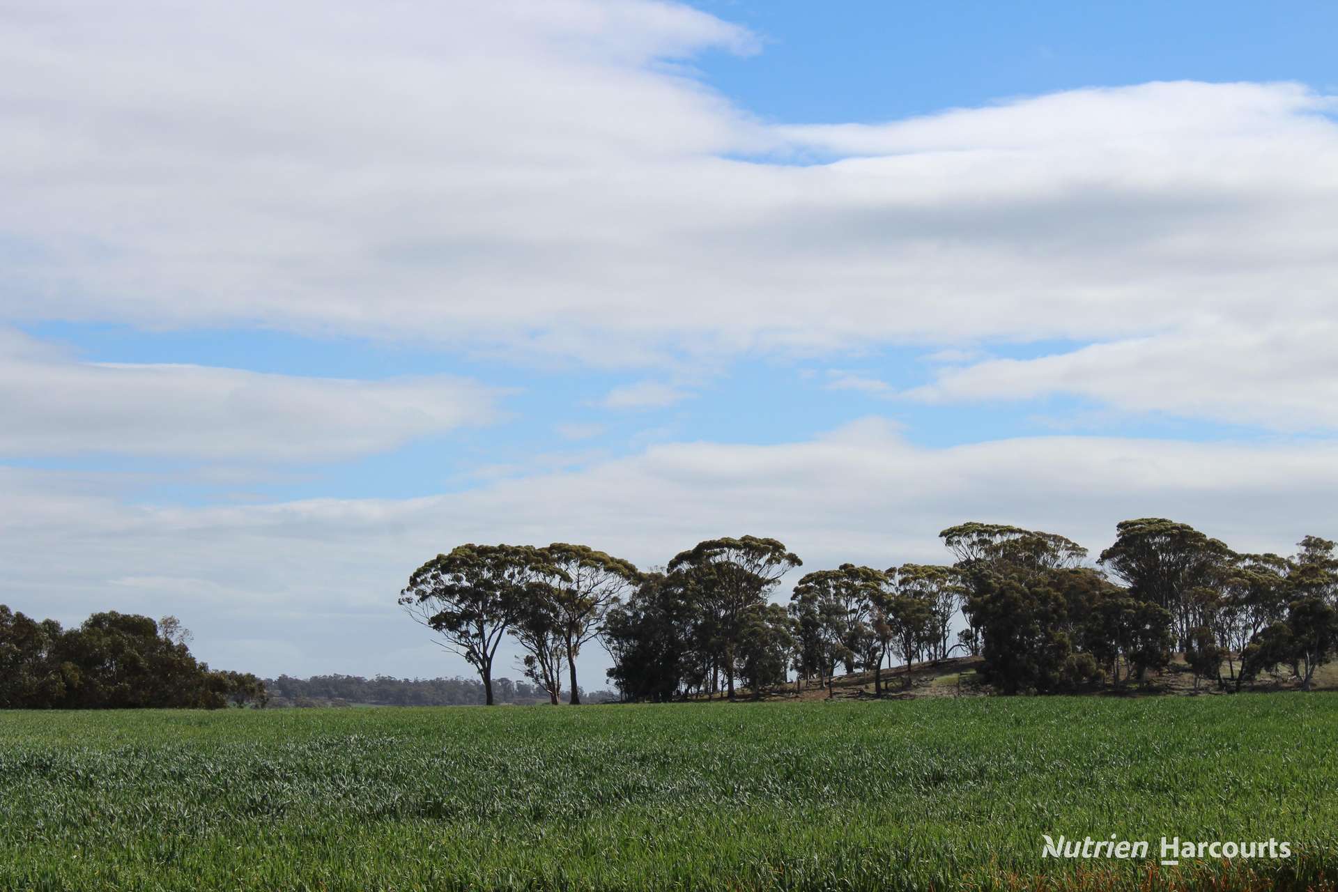 Lot 4031 Jackadine Farm, Pingelly For Sale by Farmbuy.com - image 13