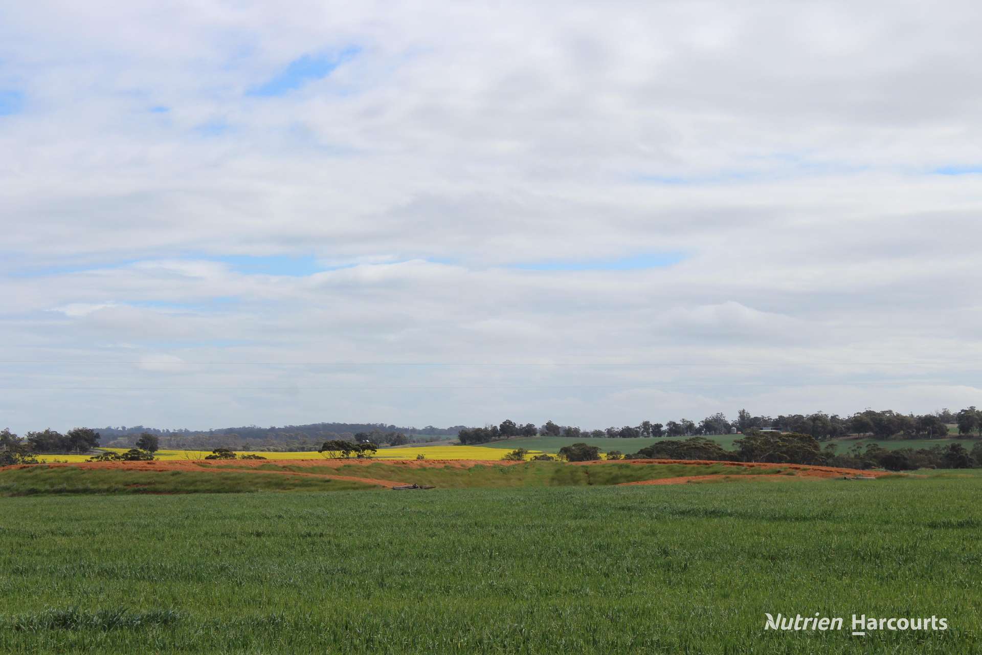Lot 4031 Jackadine Farm, Pingelly For Sale by Farmbuy.com - image 5