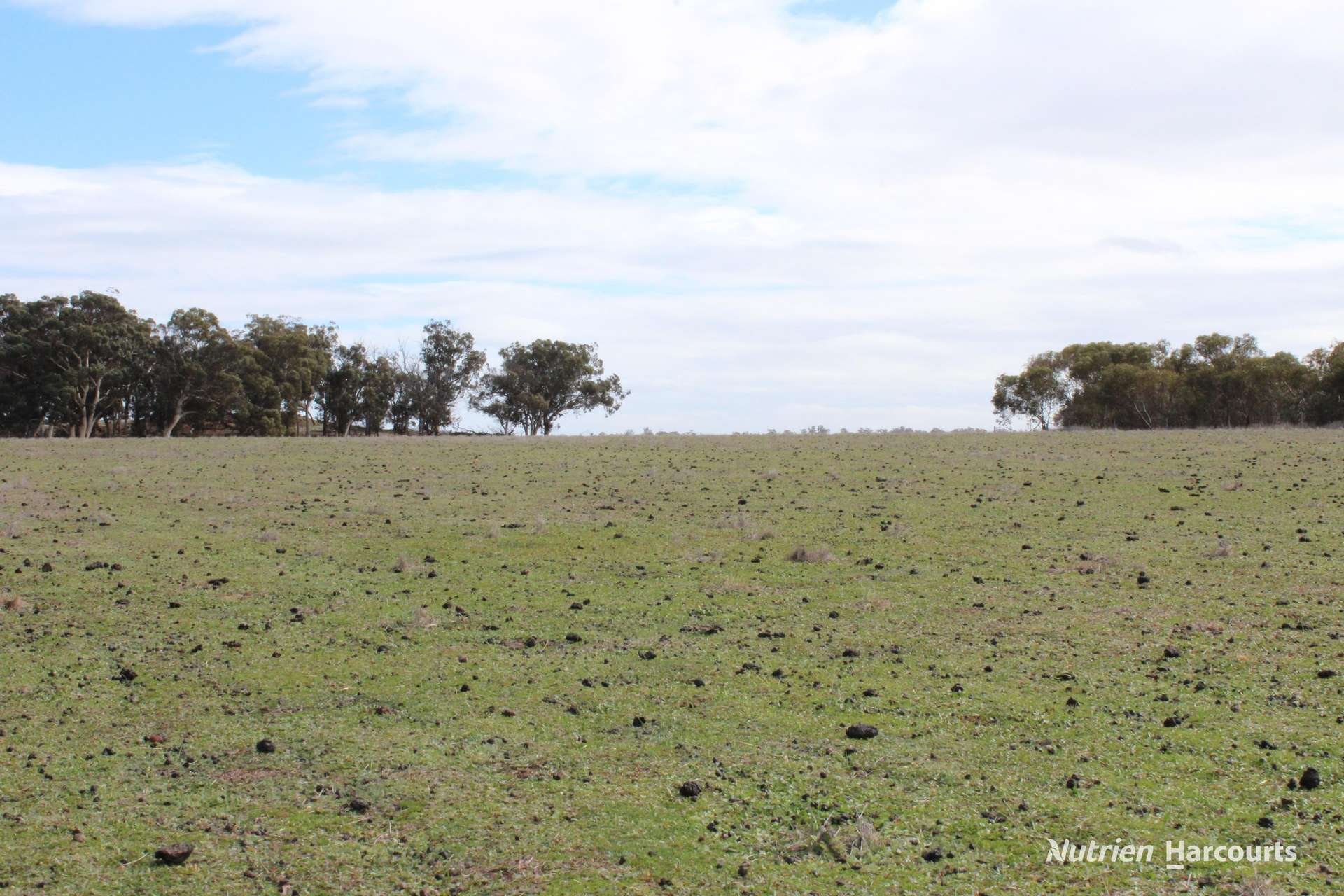 Lot 4031 Jackadine Farm, Pingelly For Sale by Farmbuy.com - image 3