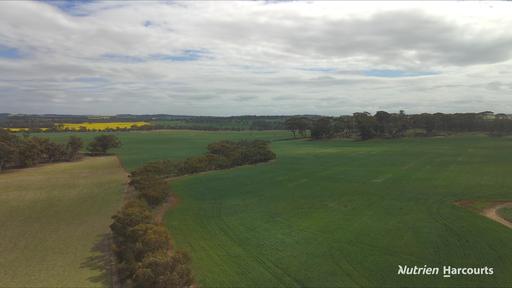 Lot 4031 Jackadine Farm, Pingelly WA 6308