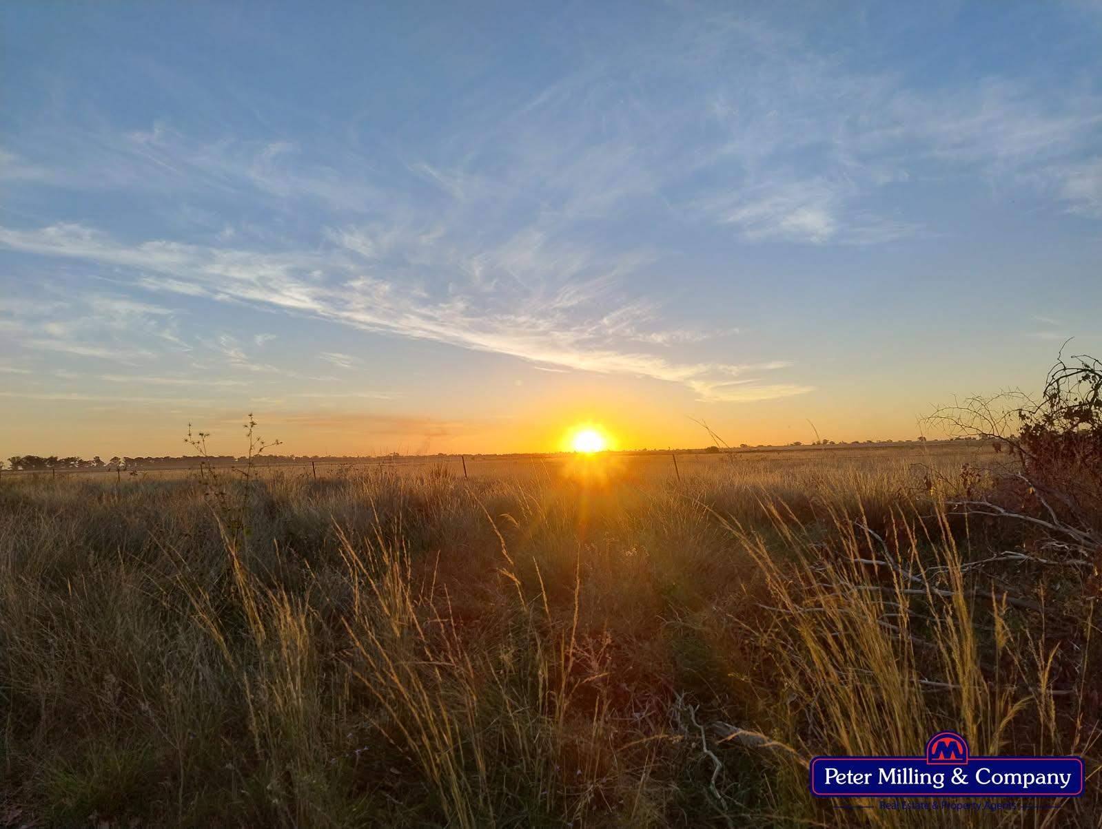 61L Terraview Road, Dubbo Auction by Farmbuy.com - image 32