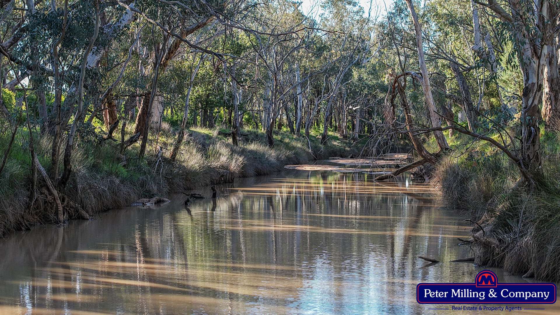 61L Terraview Road, Dubbo Auction by Farmbuy.com - image 26